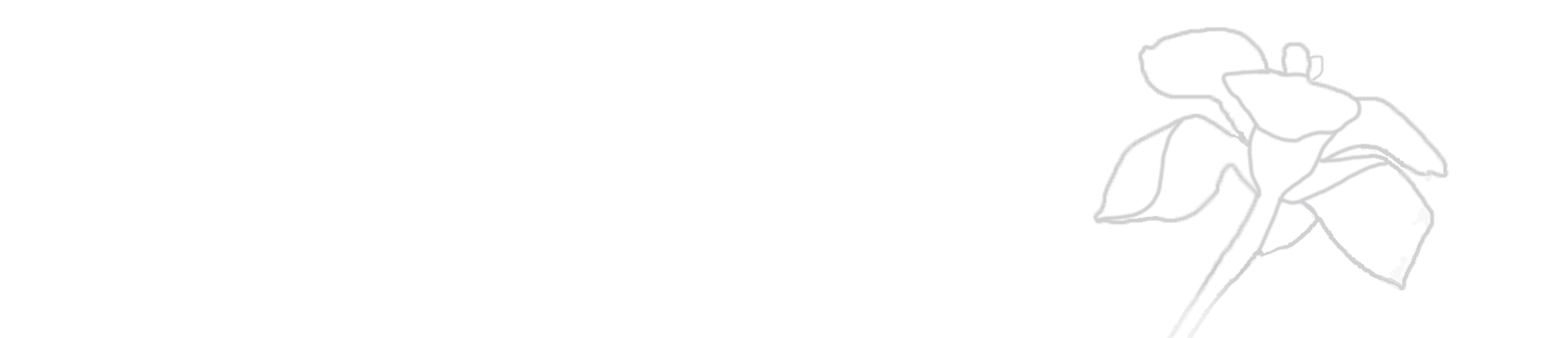 141WE-FlowWMC1-V3.png