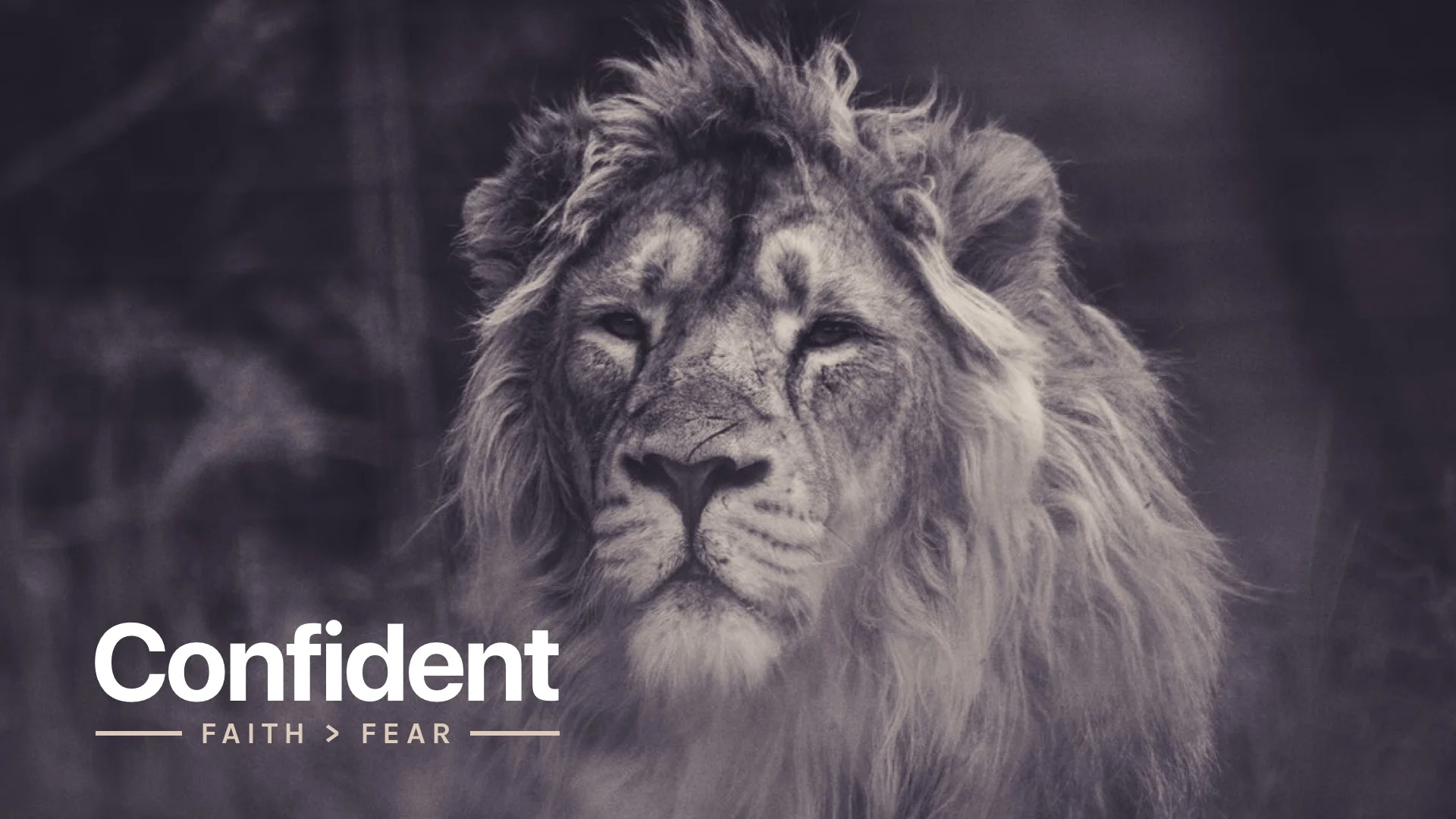 Confident-HD.jpg