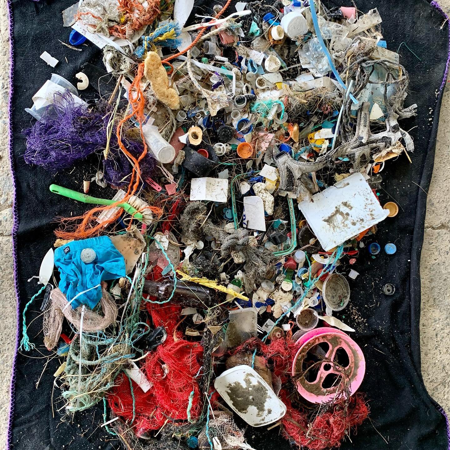 The beach looked clean and fresh this morning but wasn&rsquo;t!!
#beachwalk #beachrubbish #plasticpollution #plasticrope #plasticwaste #pollution #microplastic #rubbish