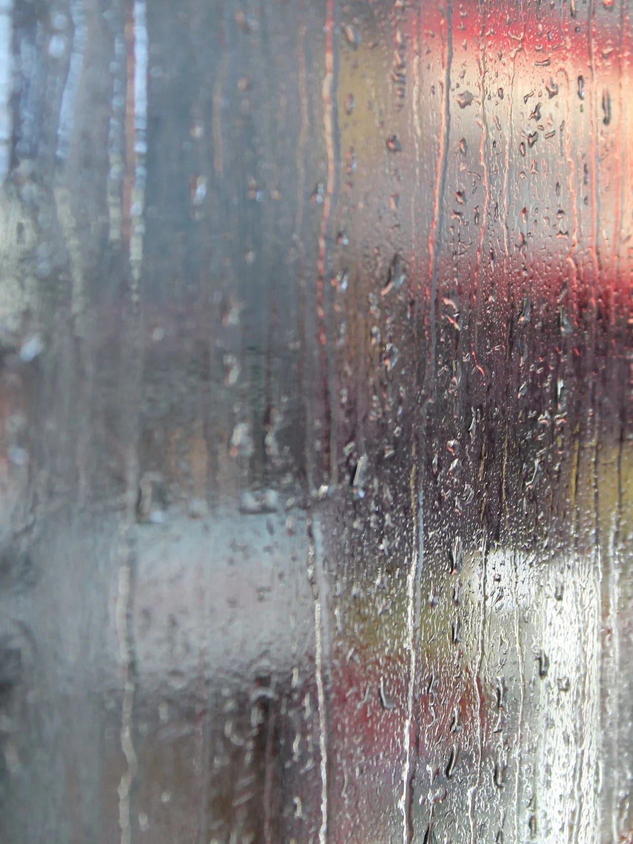 Understanding Trauma and Your Brain