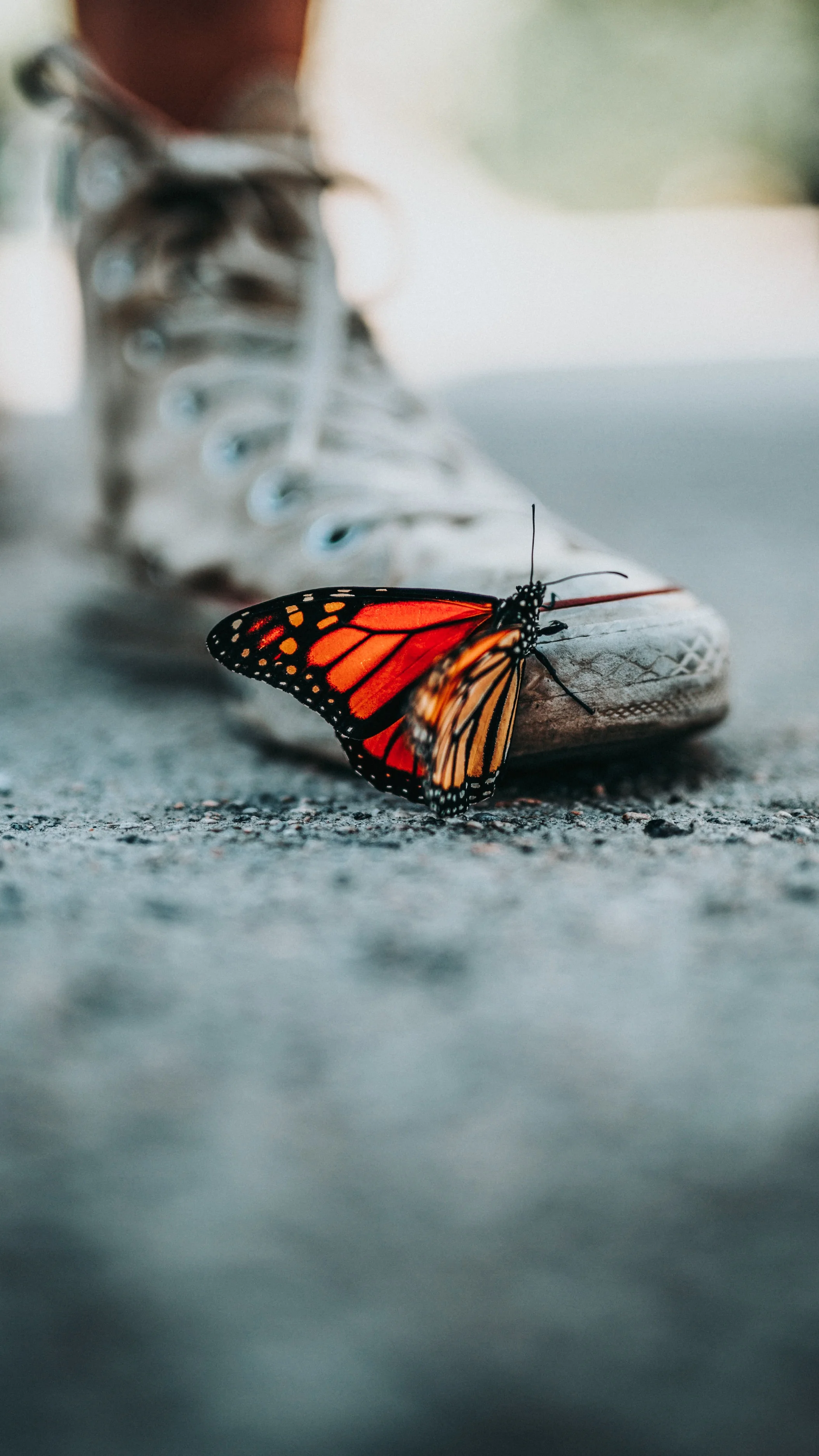  Biodynamic Cranial Sacral: A Life Changing Experiment