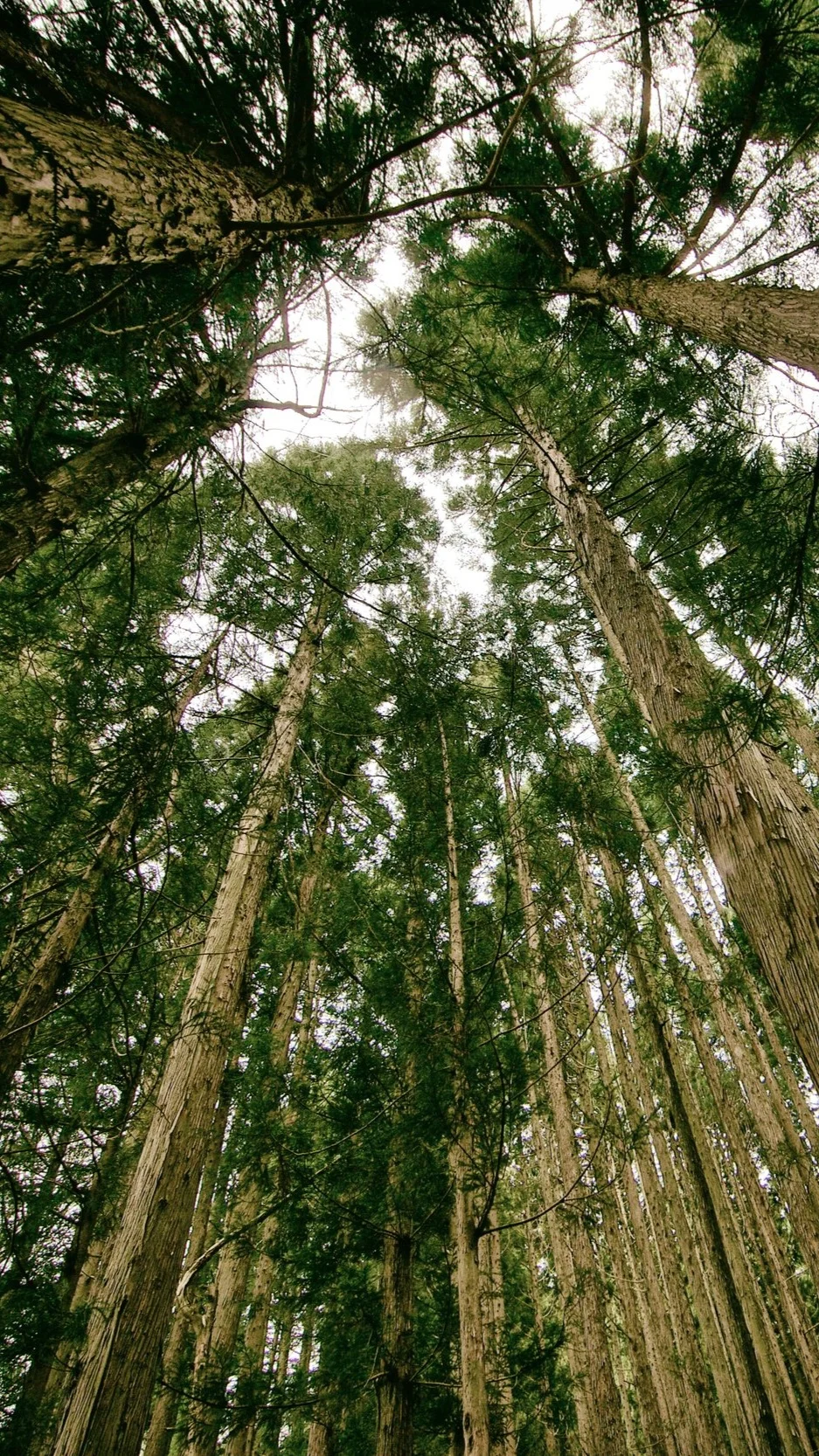 Our Kids and Sports: Gain Perspective