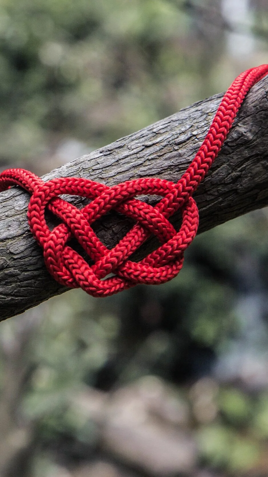 Adoption and Relationships