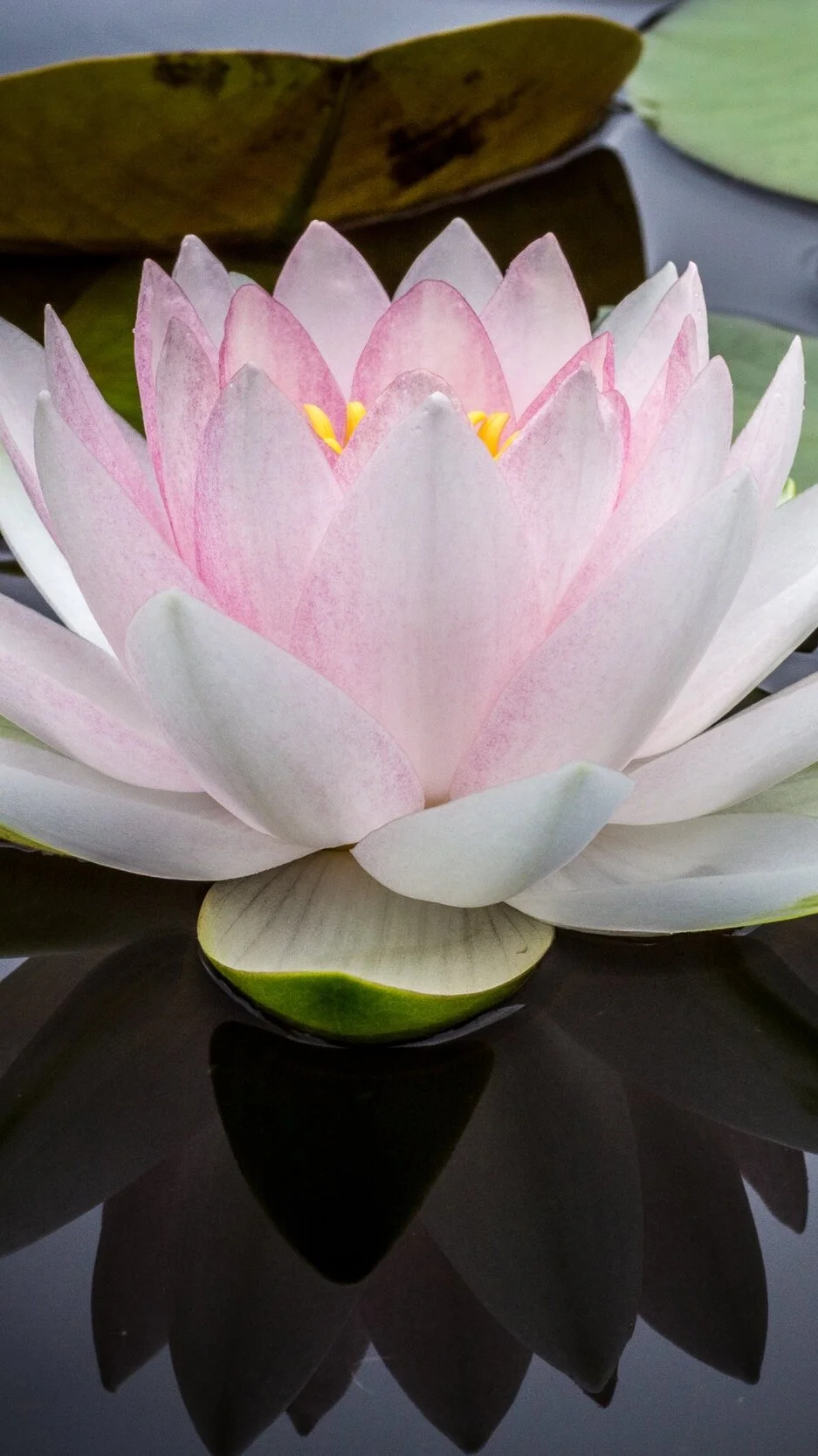 Old Patterns Need Mindfulness