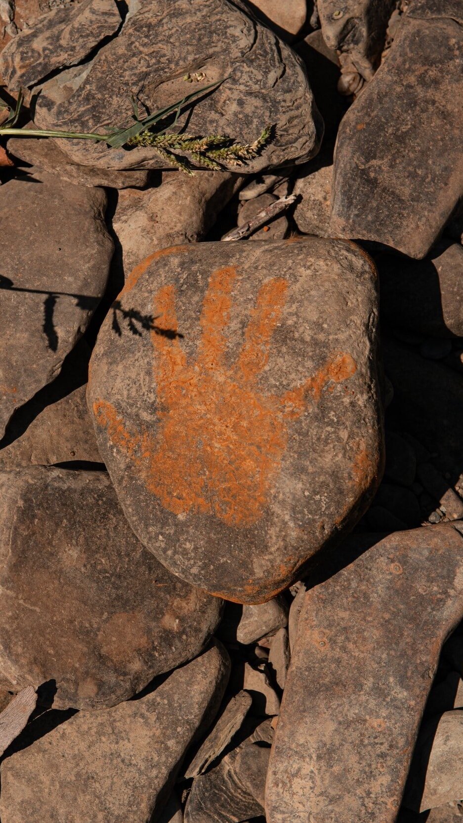 Imprints on Our Nervous Systems are Life Long