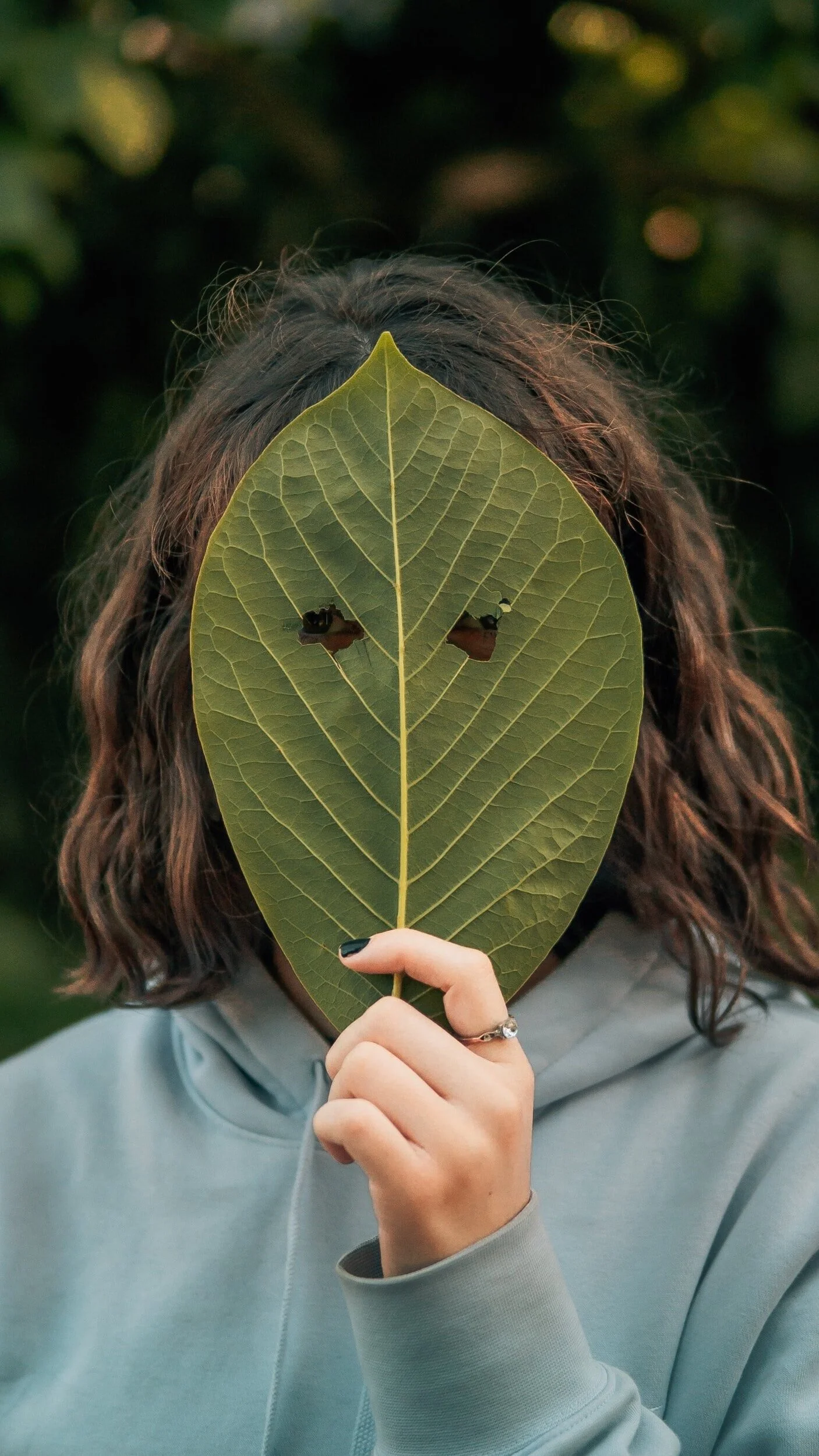 No Story Needed-A Somatic Approach