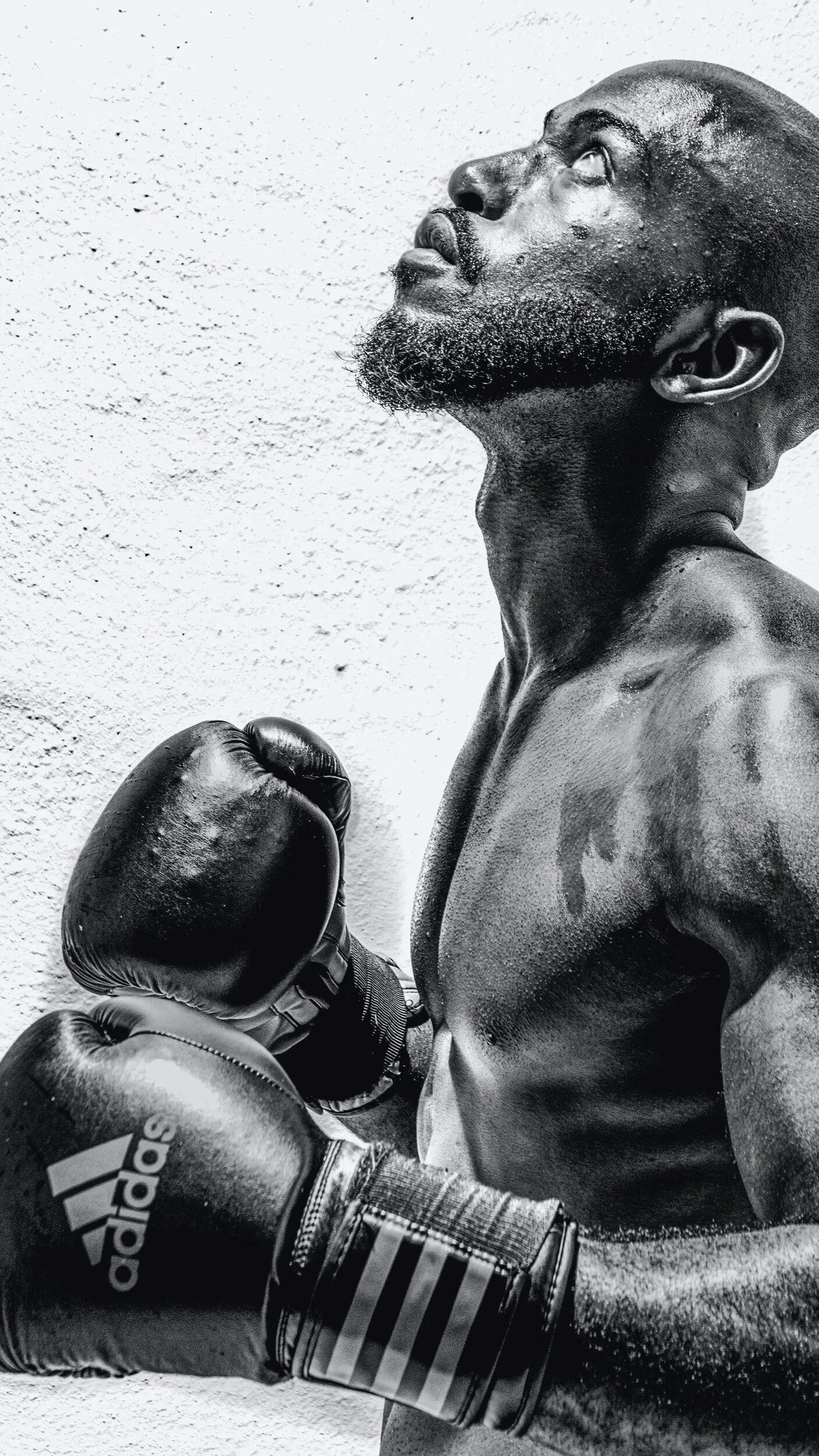 Challenging Core Beliefs in Somatic Therapy