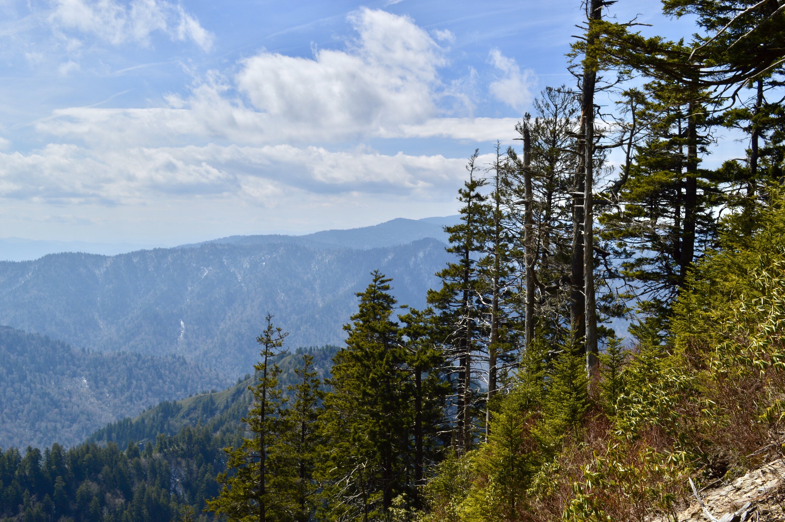 Smoky Mountains