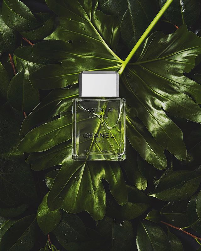 New styling work w the talented photographer @derekmfong. #perfume #chanel #greenery  #photostylist #cosmetics @juliemstylist #tabletopstyling @luluartistscollective