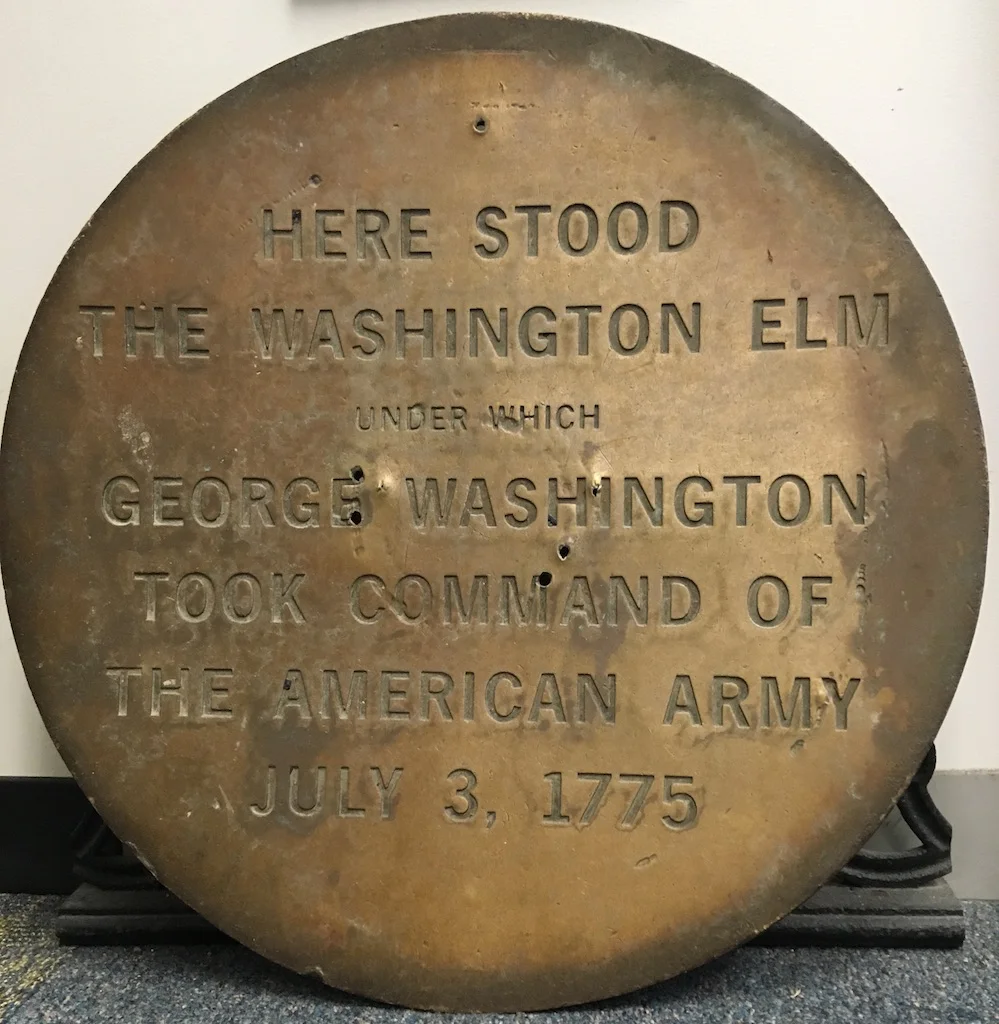 Washington Elm Plaque