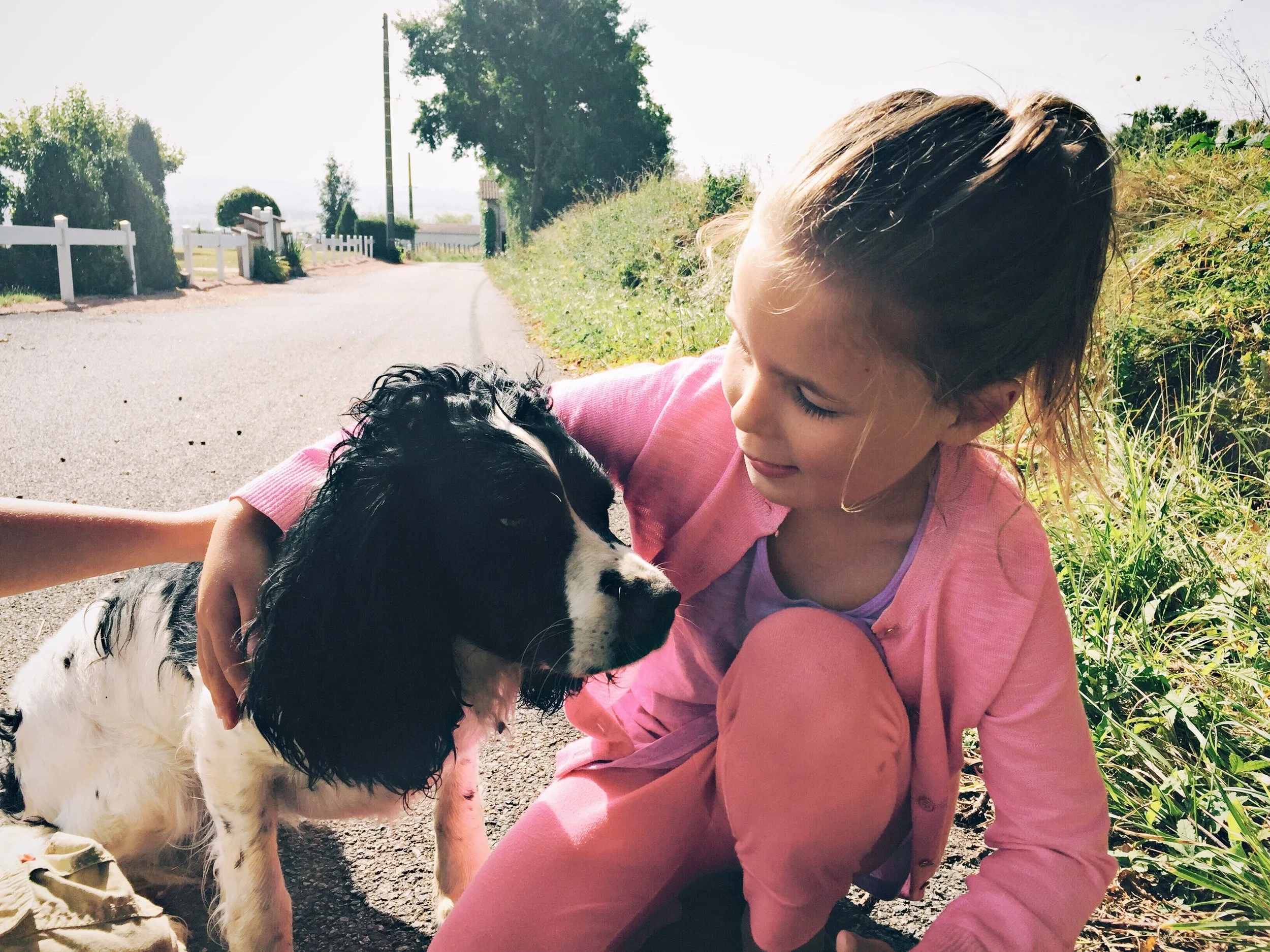 The Crazy Spaniel from France