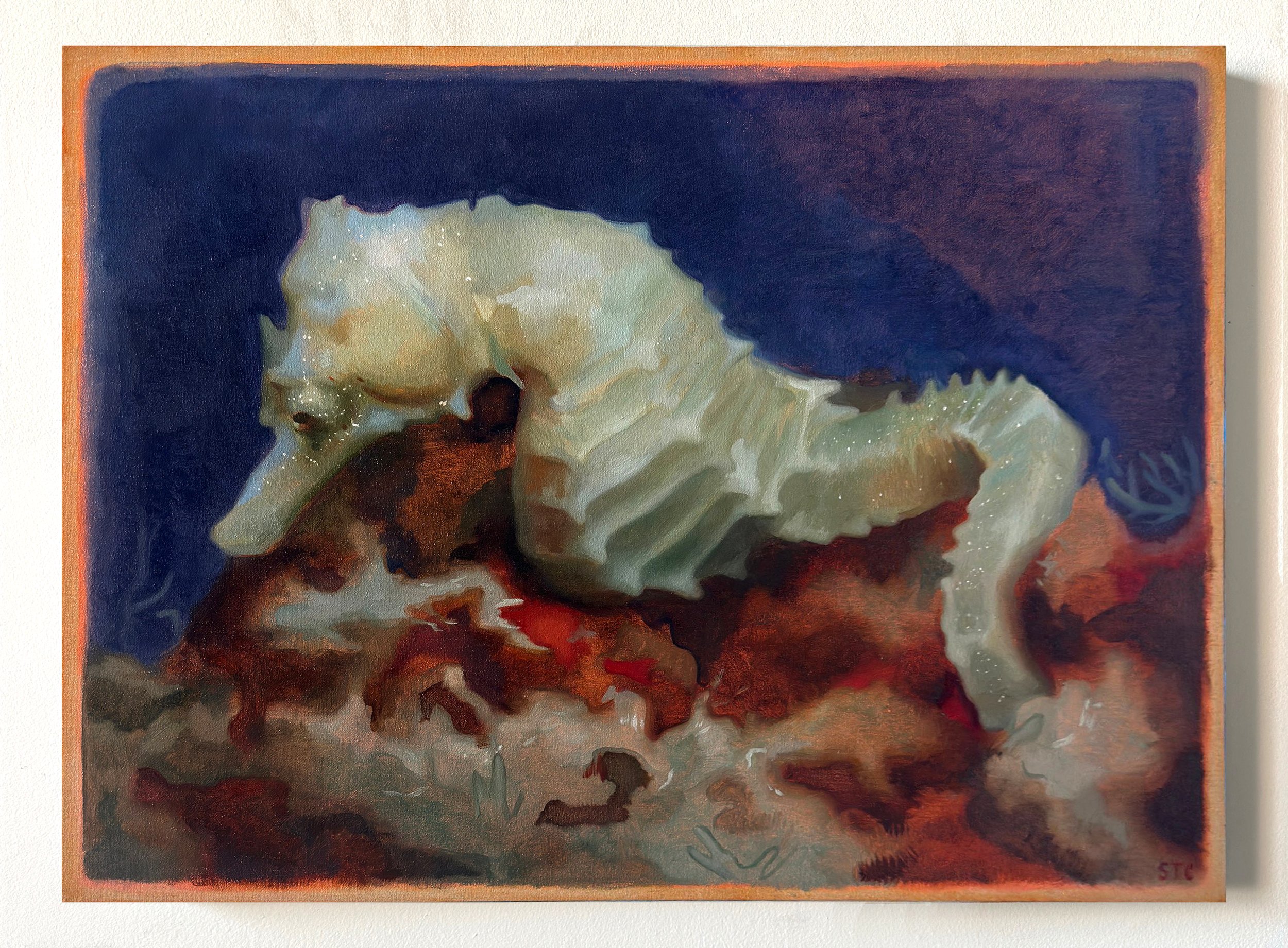 final image white seahorse.jpeg