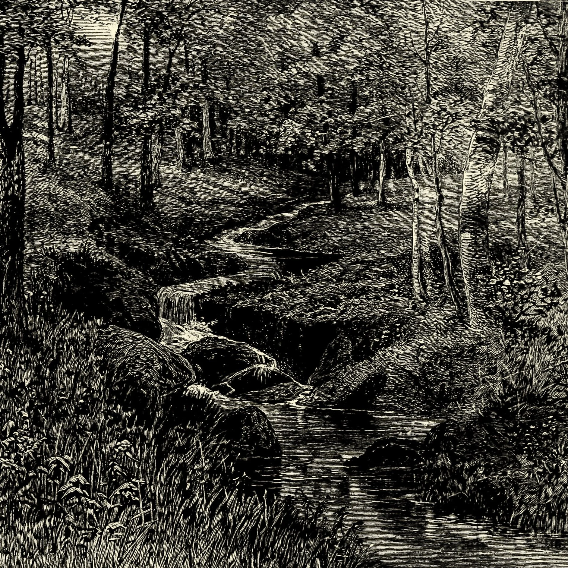 Berkeley Stairs - April 2018