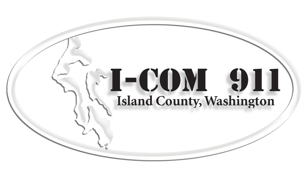 ICOM911_logo.jpg