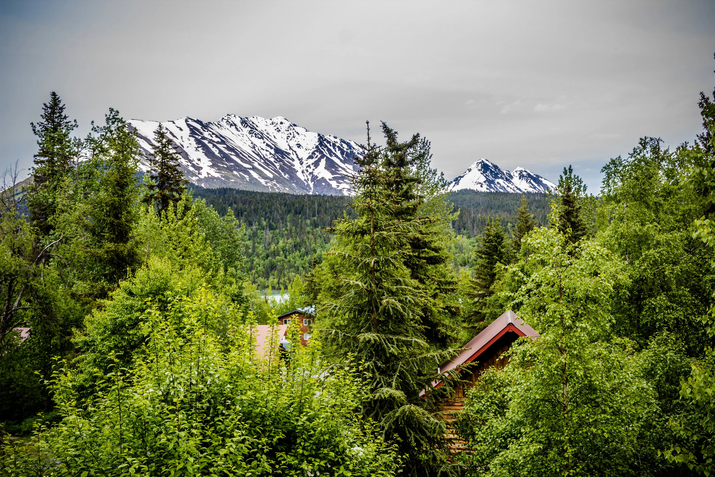 IMG_6231.jpg