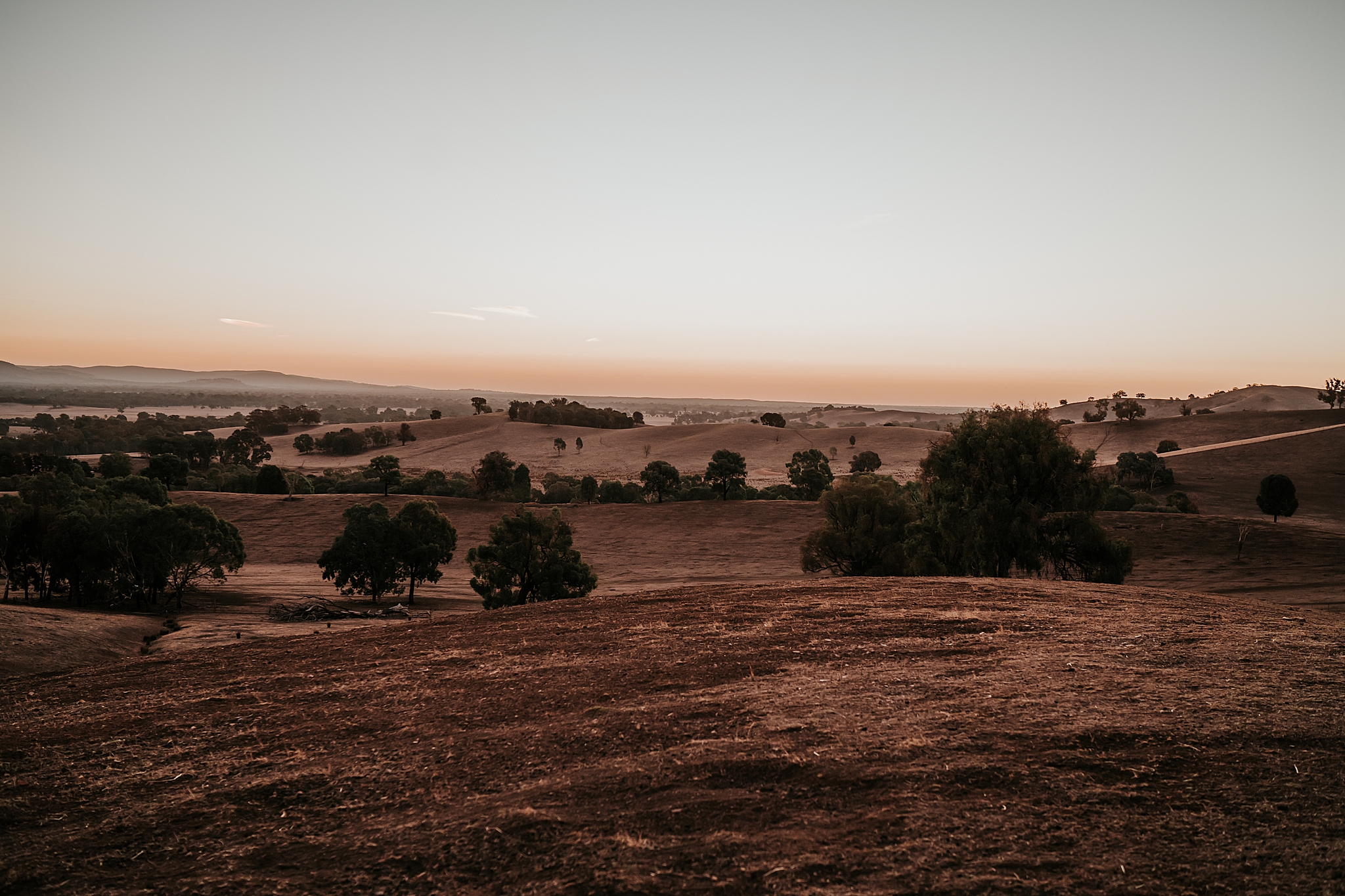 Untitled_9124.jpg