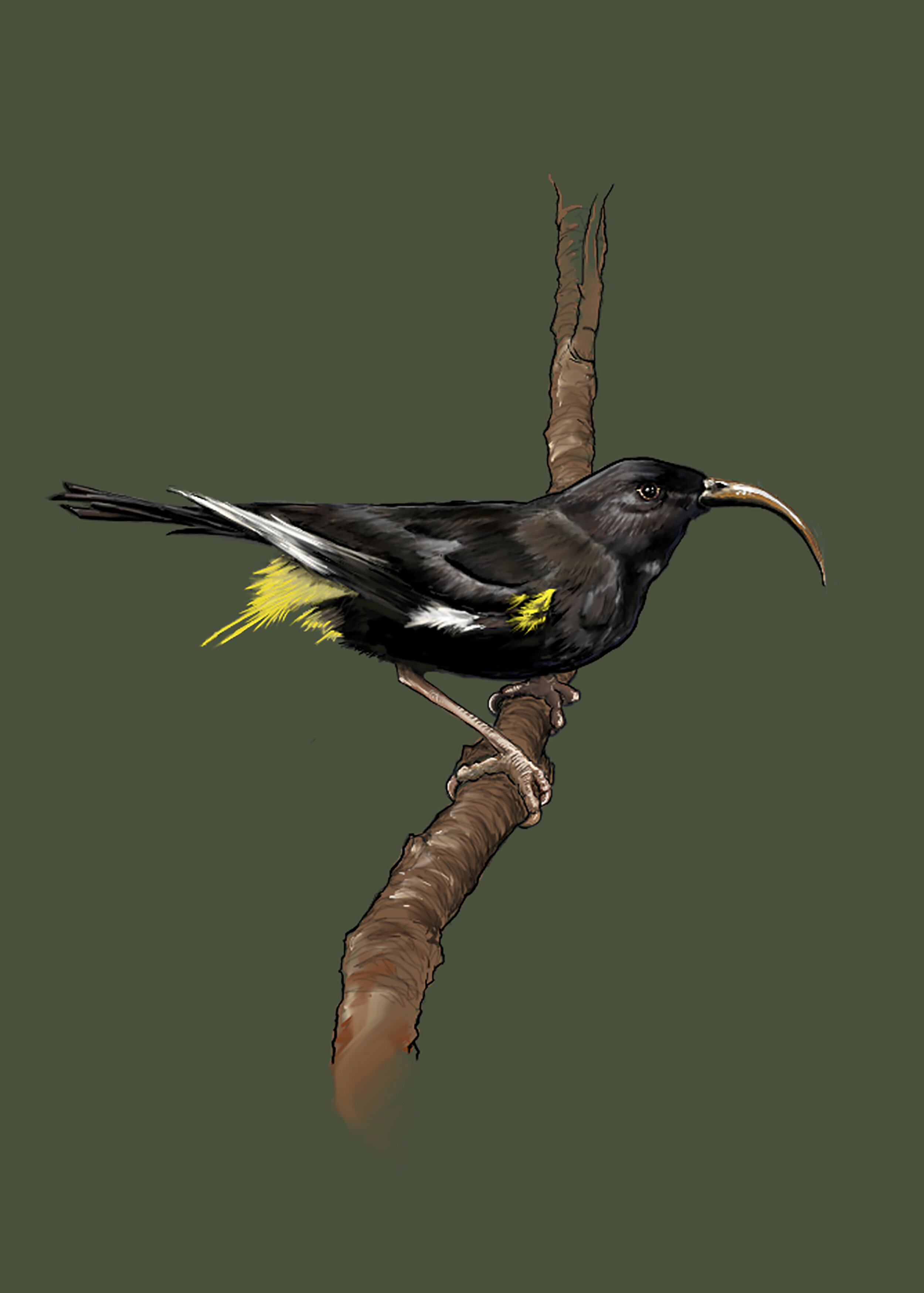 NA MAMO DIGITAL PAINTING