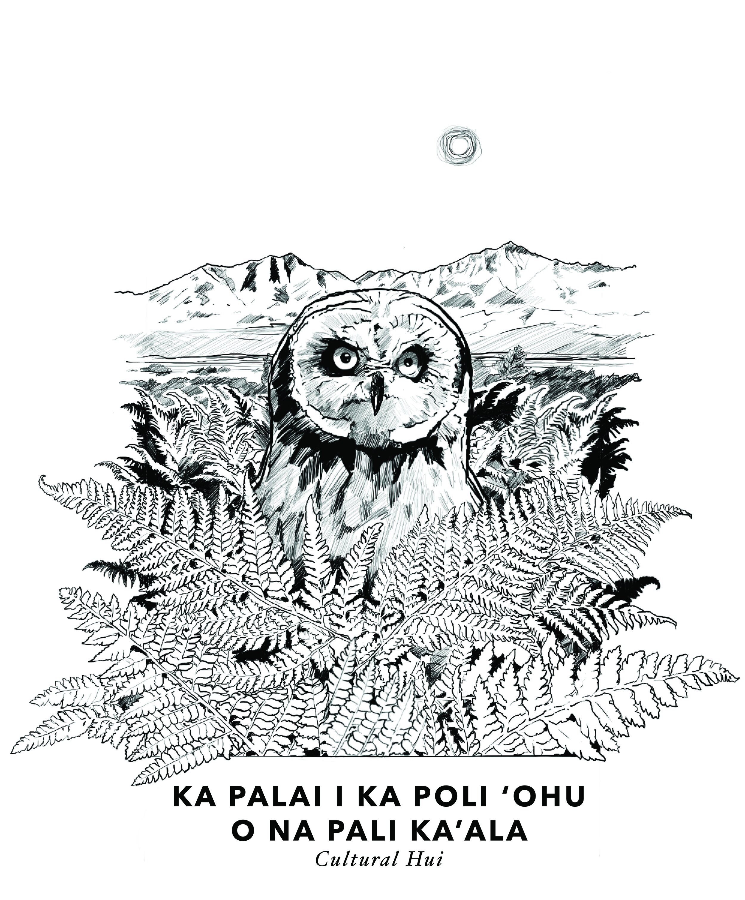 KaPalaiPUEO_design.jpg