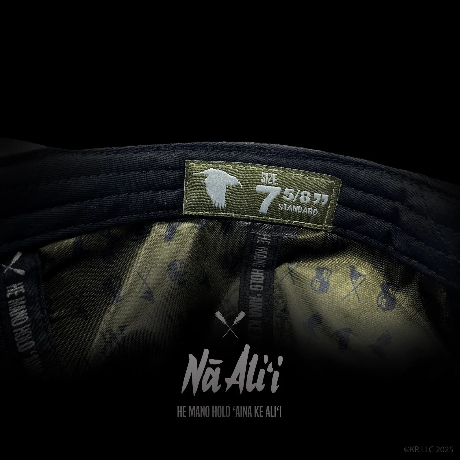 Image 6-13-25 at 11.10 AM.JPG