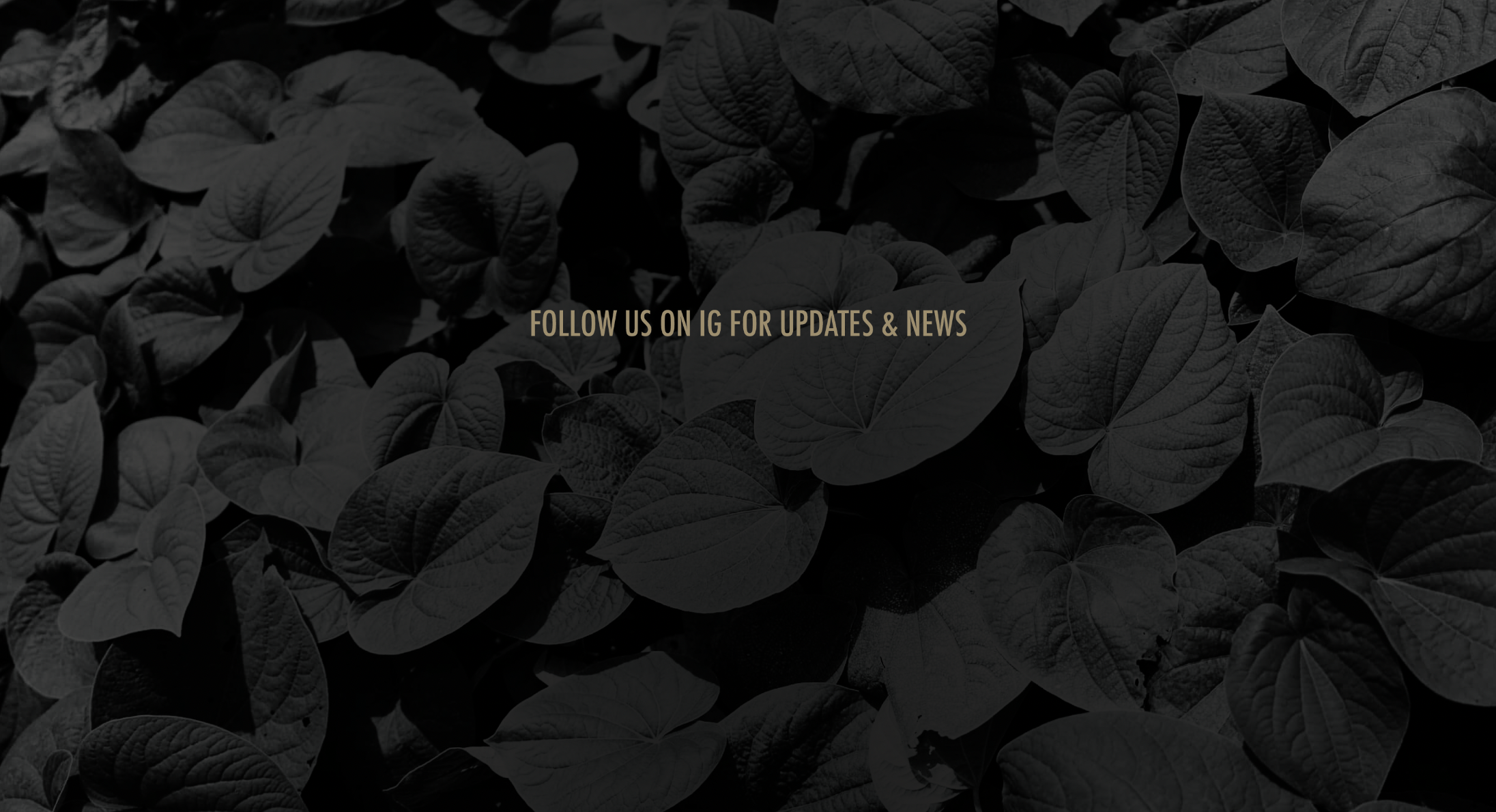 Screenshot 2026-04-25 at 10.25.14 AM.png