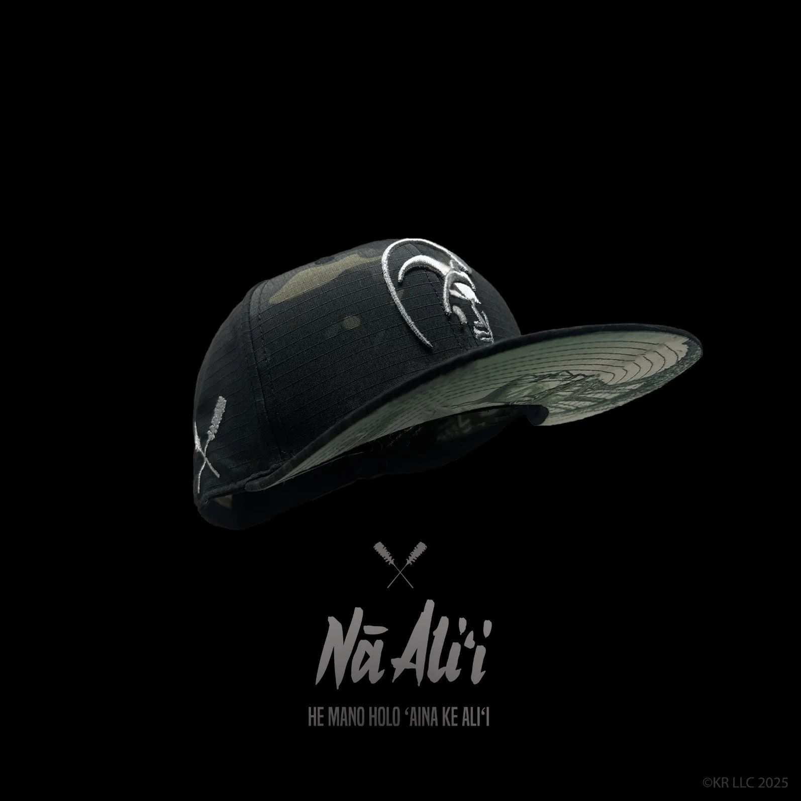 Image 6-13-25 at 10.22 AM.JPG