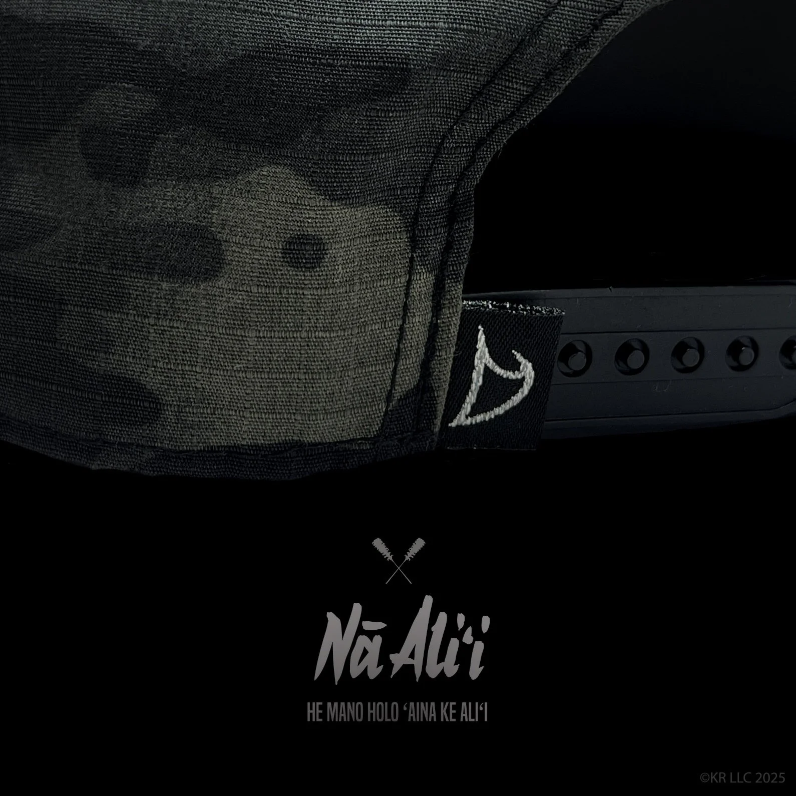 Image 6-13-25 at 11.01 AM.JPG