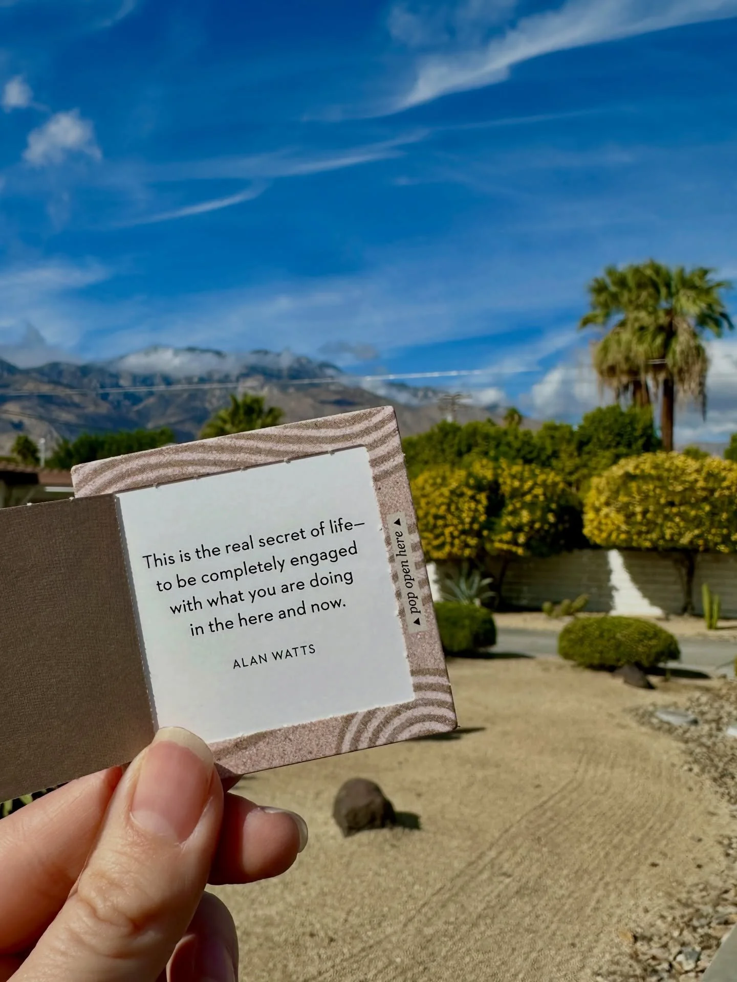 You practice yoga for one of two reasons: 1. You want to help others. 2. You want to save the world from yourself. 🤣⁣
⁣
I read this recently on a post from my friend @ashleymarandhealth and DIED. Because that second one hits home, and maybe it did f