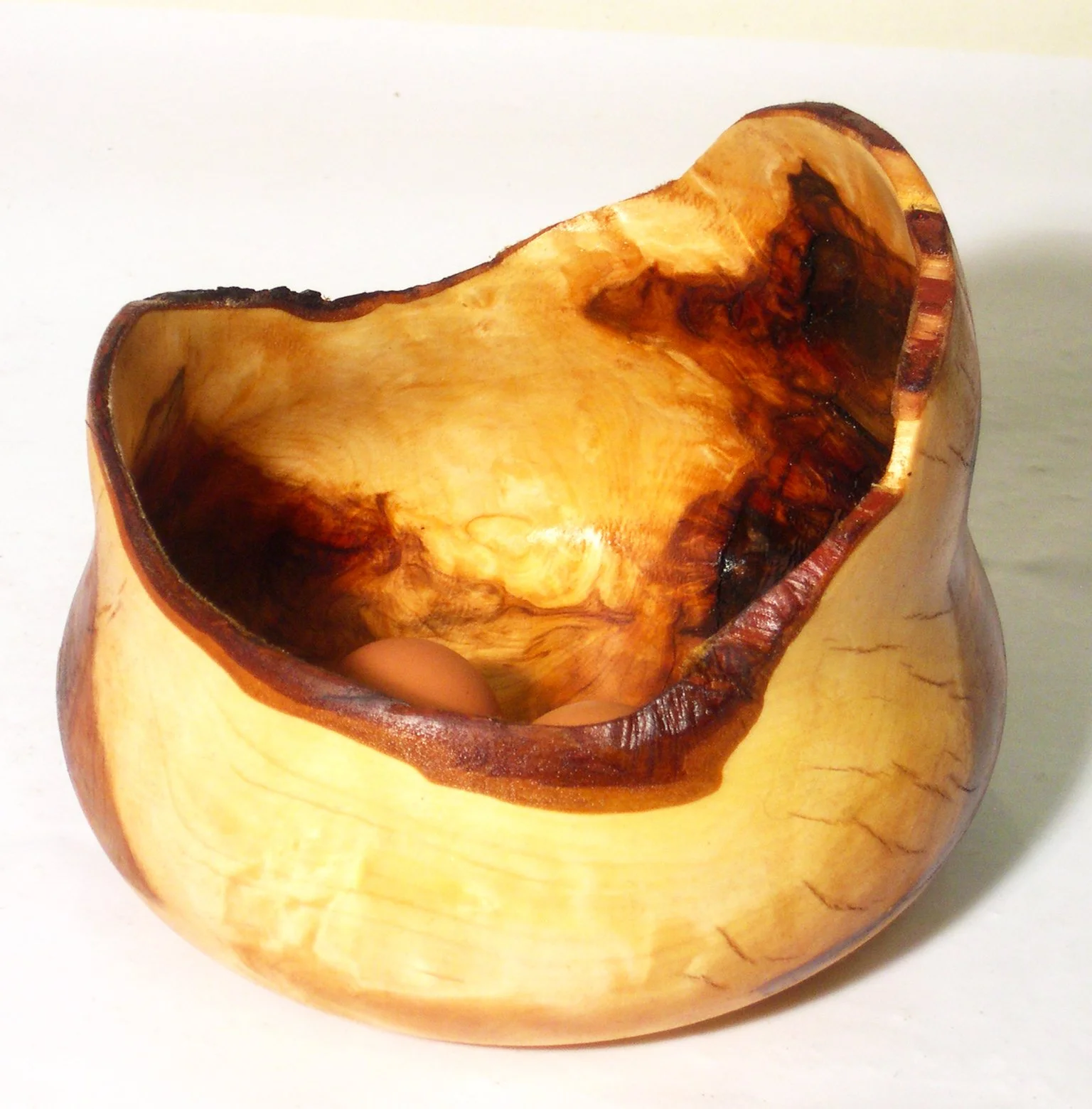 Bald Cypress Knee 1.JPG