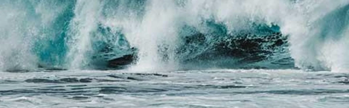 Image: Robbi Tide: Tide Studio. tidestudio.co