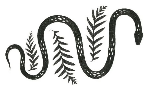 Snake & Fern illustration by Lauren Blair