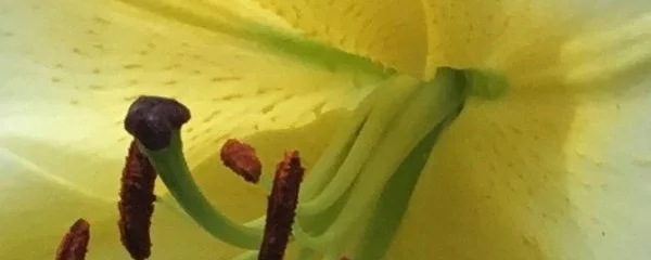 8_w600_h542_s1.jpg
