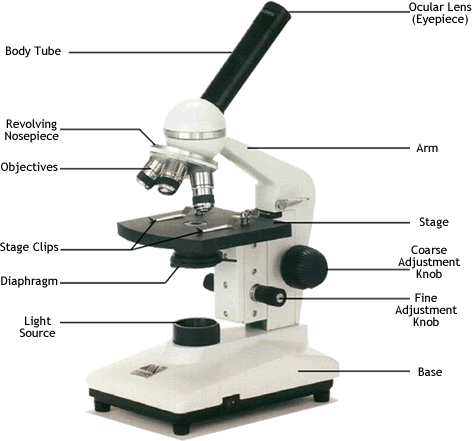 Use this picture to fill in your copy of the diagram on the worksheet provided.