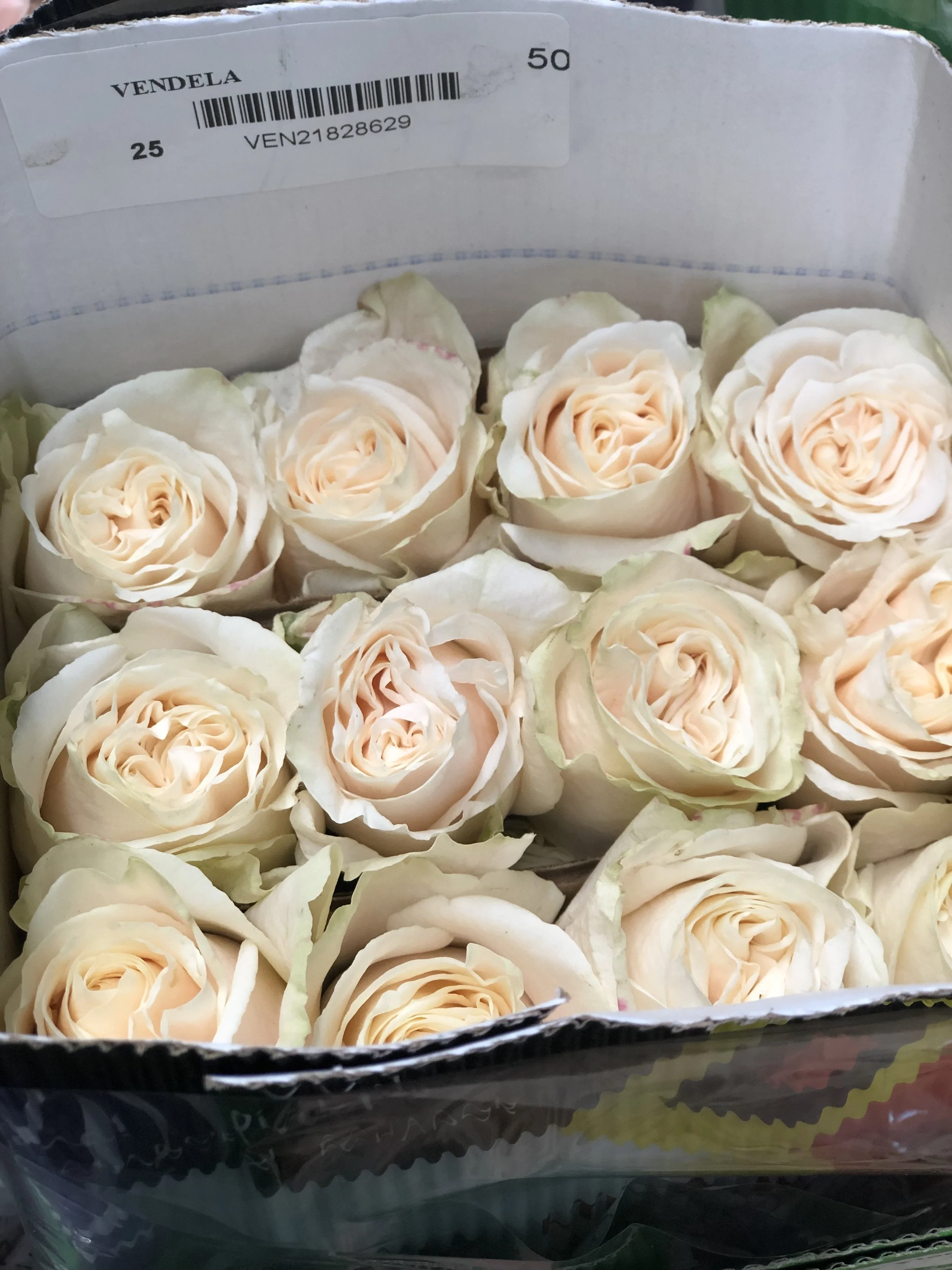 1F6308B2-9CB1-44EC-9851-56C24C1D0E7C