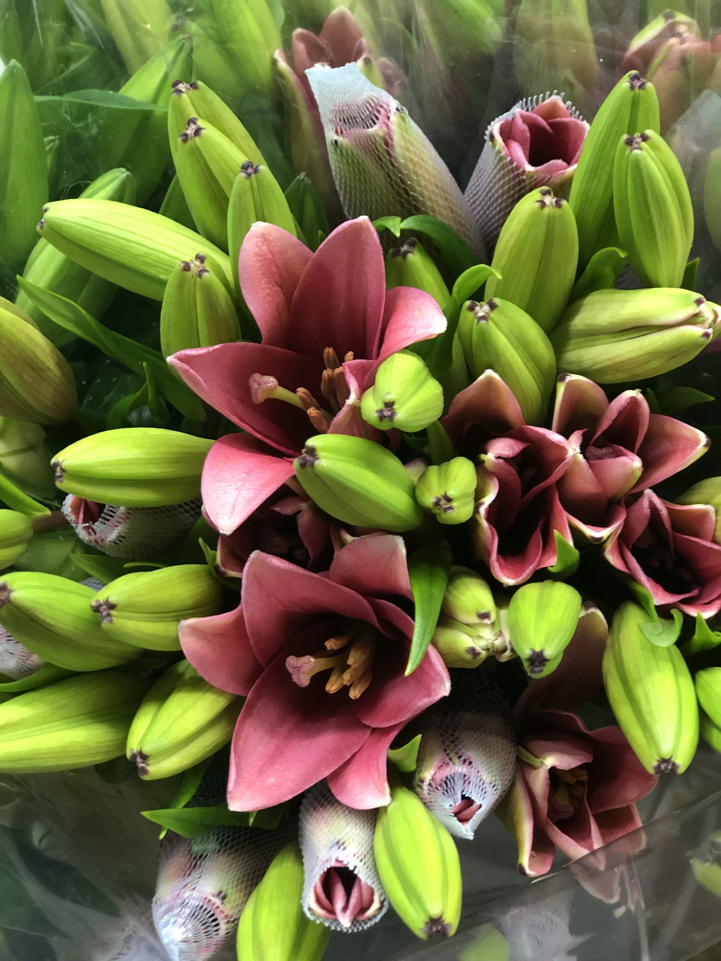 E1D8D231-A061-434C-B69D-10224E1742D6