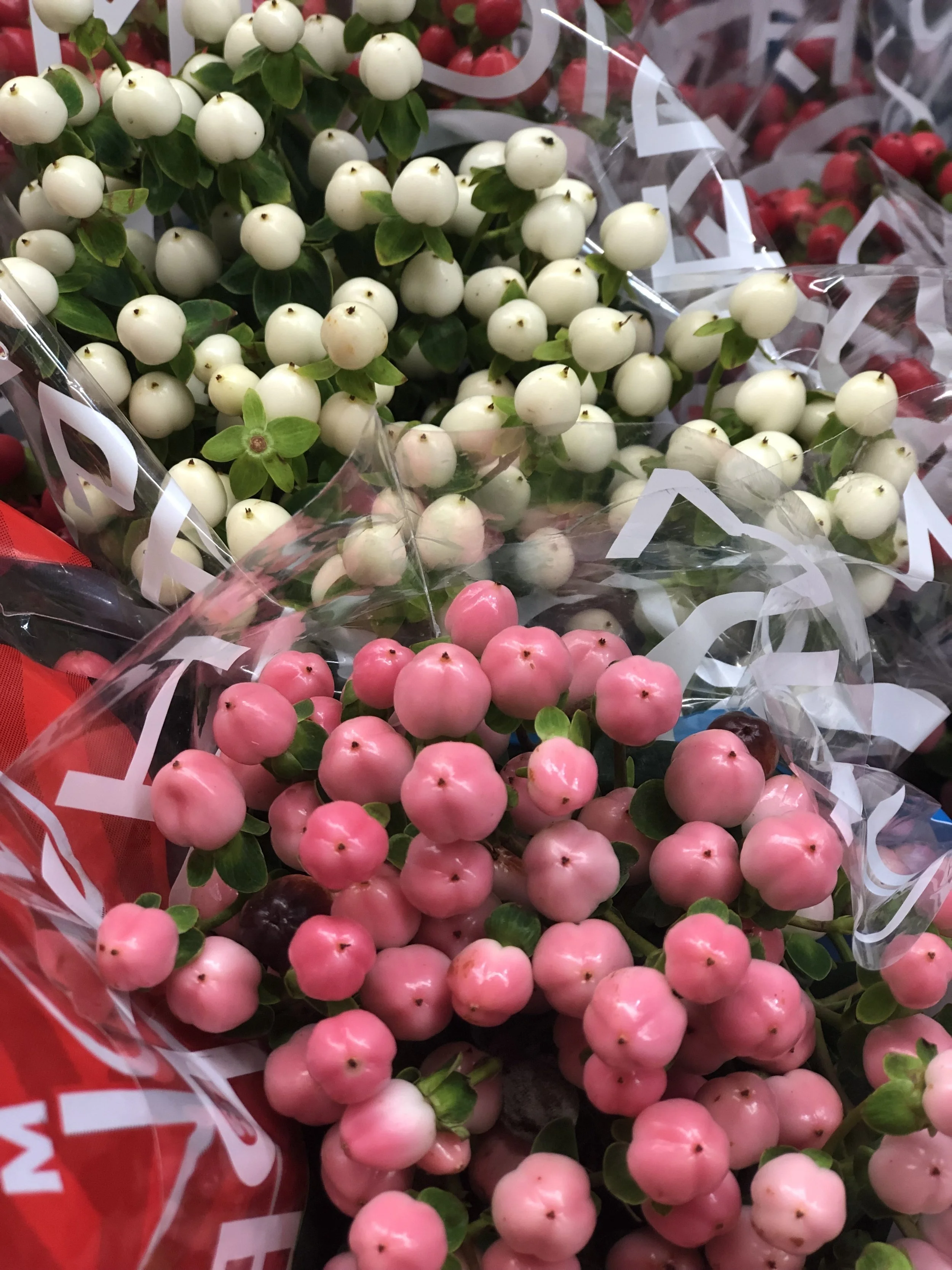 BAF69BB4-3EF8-4AE4-AD17-3EB0C3D464C2