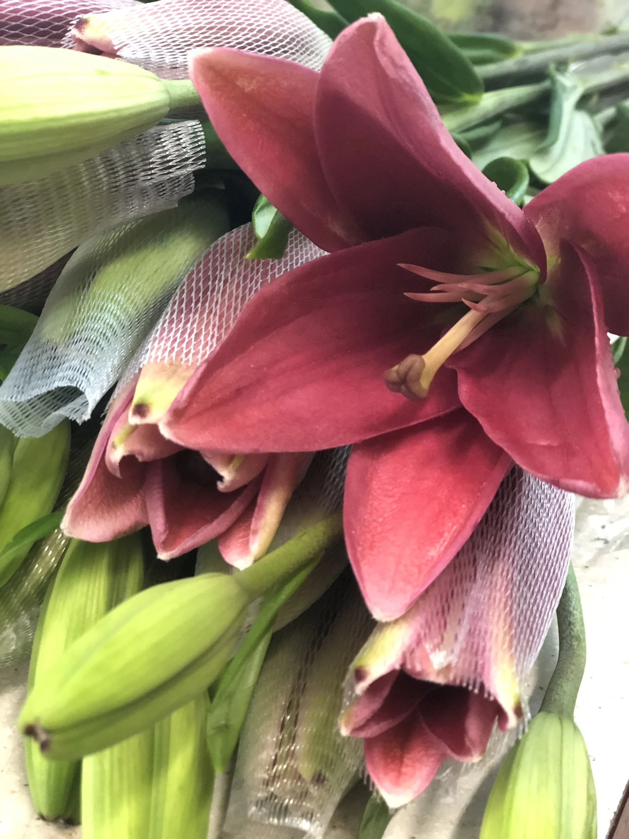 7A2F23FE-49B9-4E56-912D-BAF92CE386B5