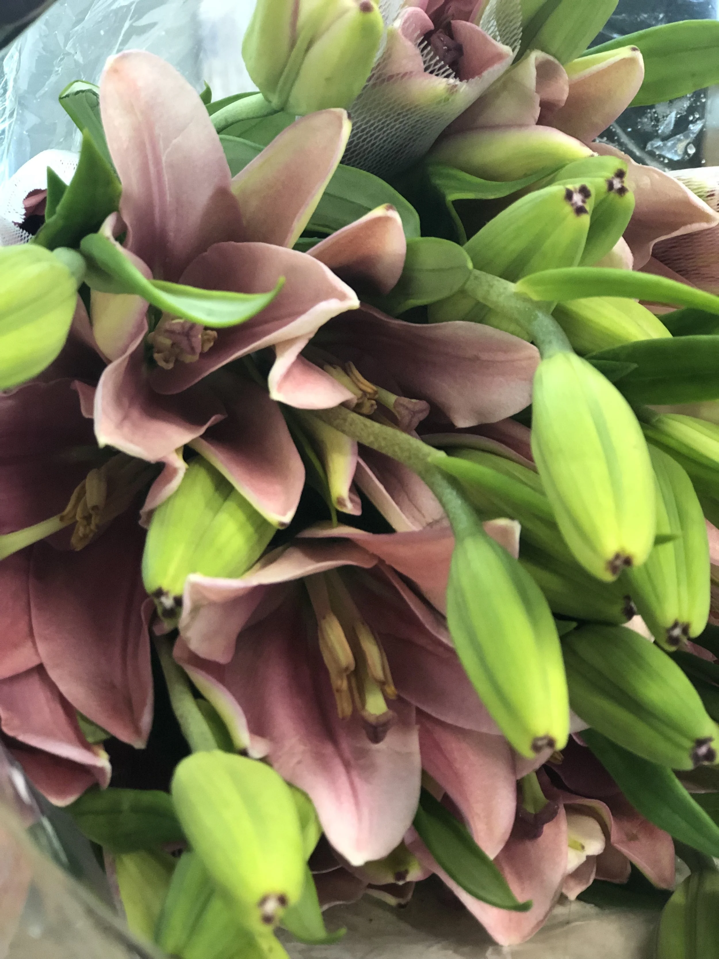 3D8F8871-EBE5-4A01-B249-01A500AB0C30