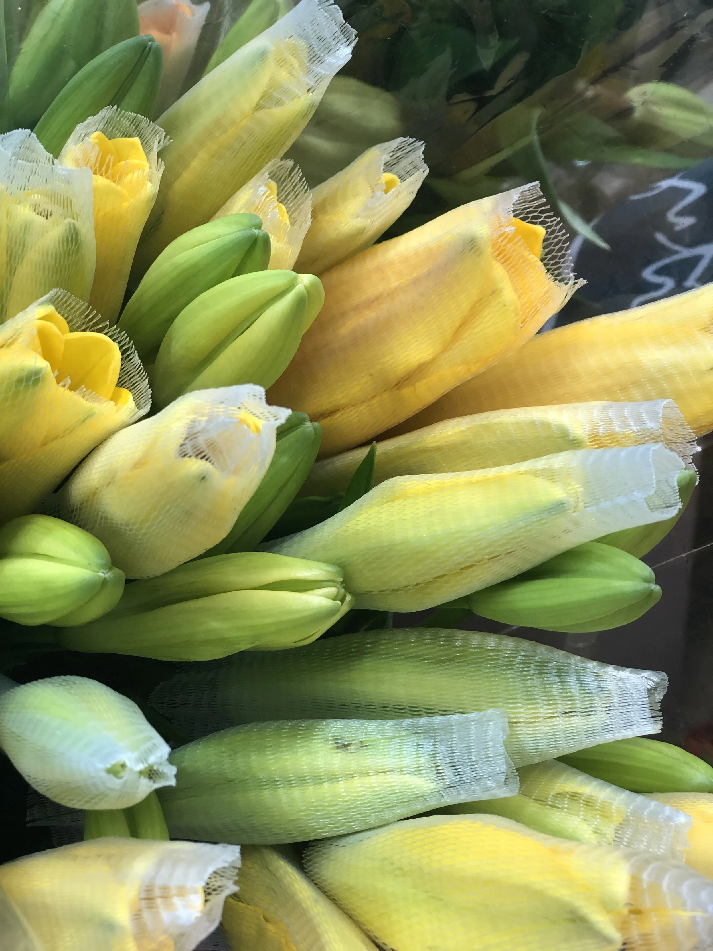 B8D35C88-559B-422F-A5B6-A1DB7DBA2A6F