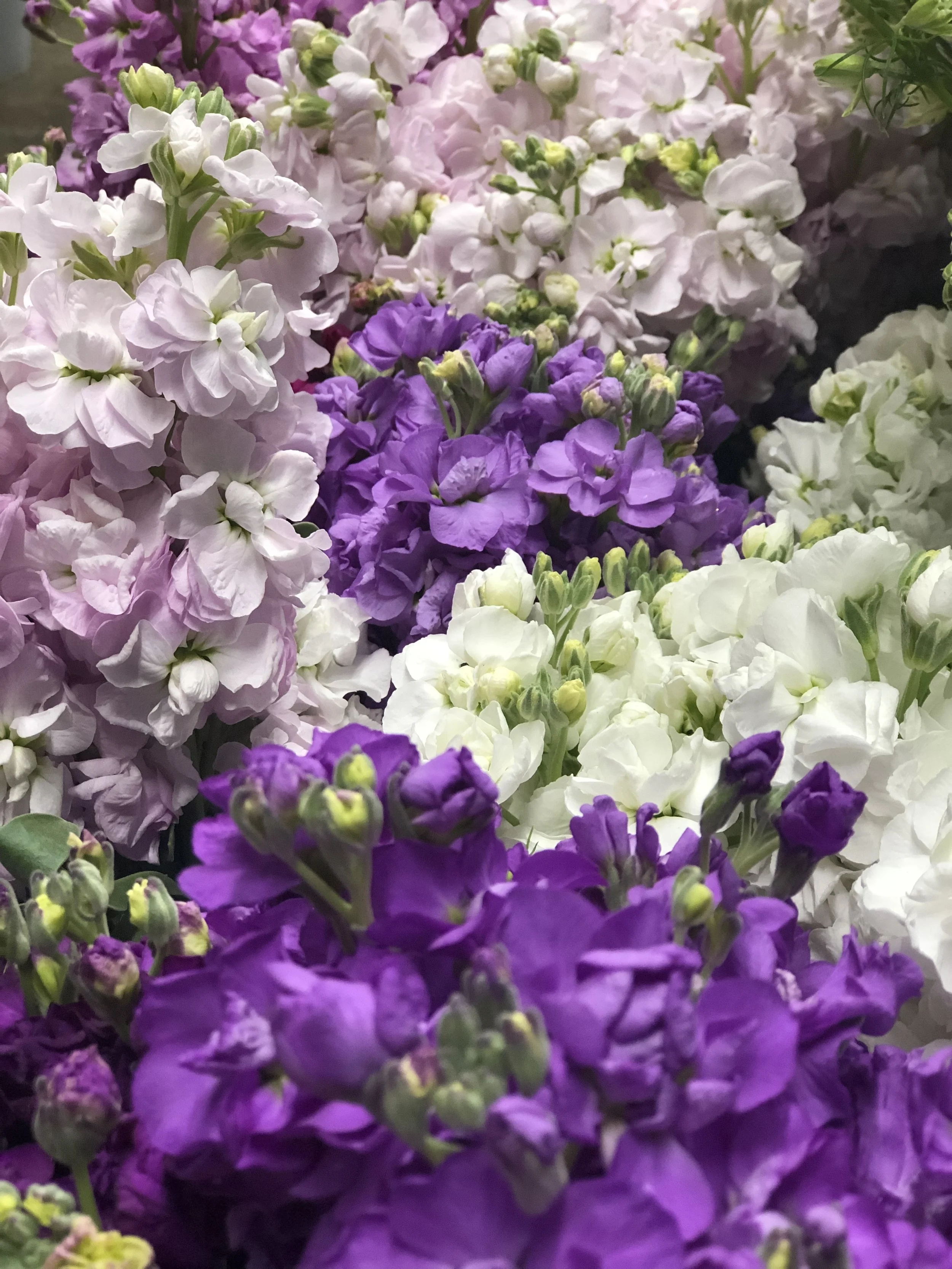 B2C3C480-D9C0-48AF-8C31-555027361476