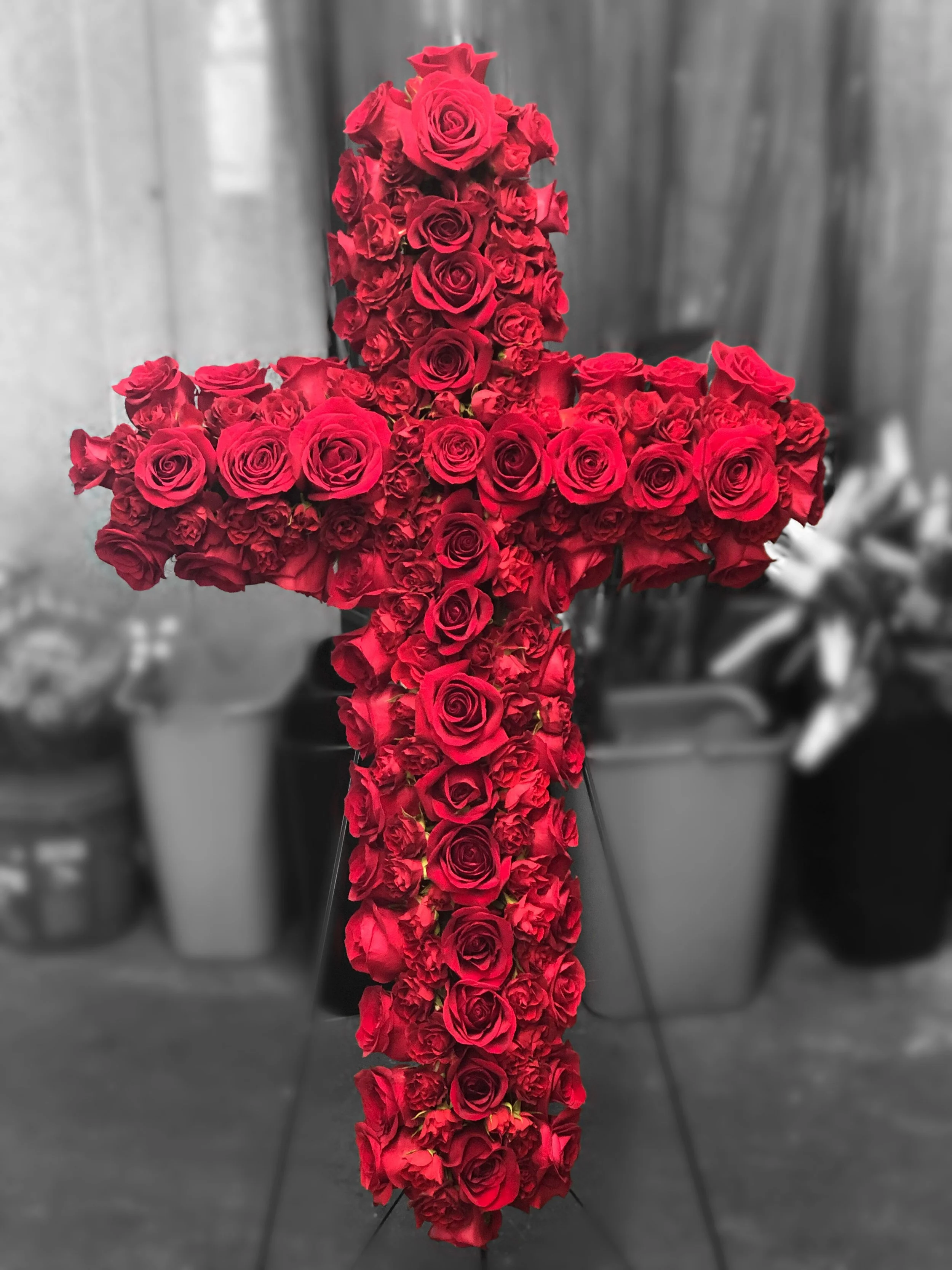 B0EBBA14-5999-4AB7-B8F3-AB469AB66EC4