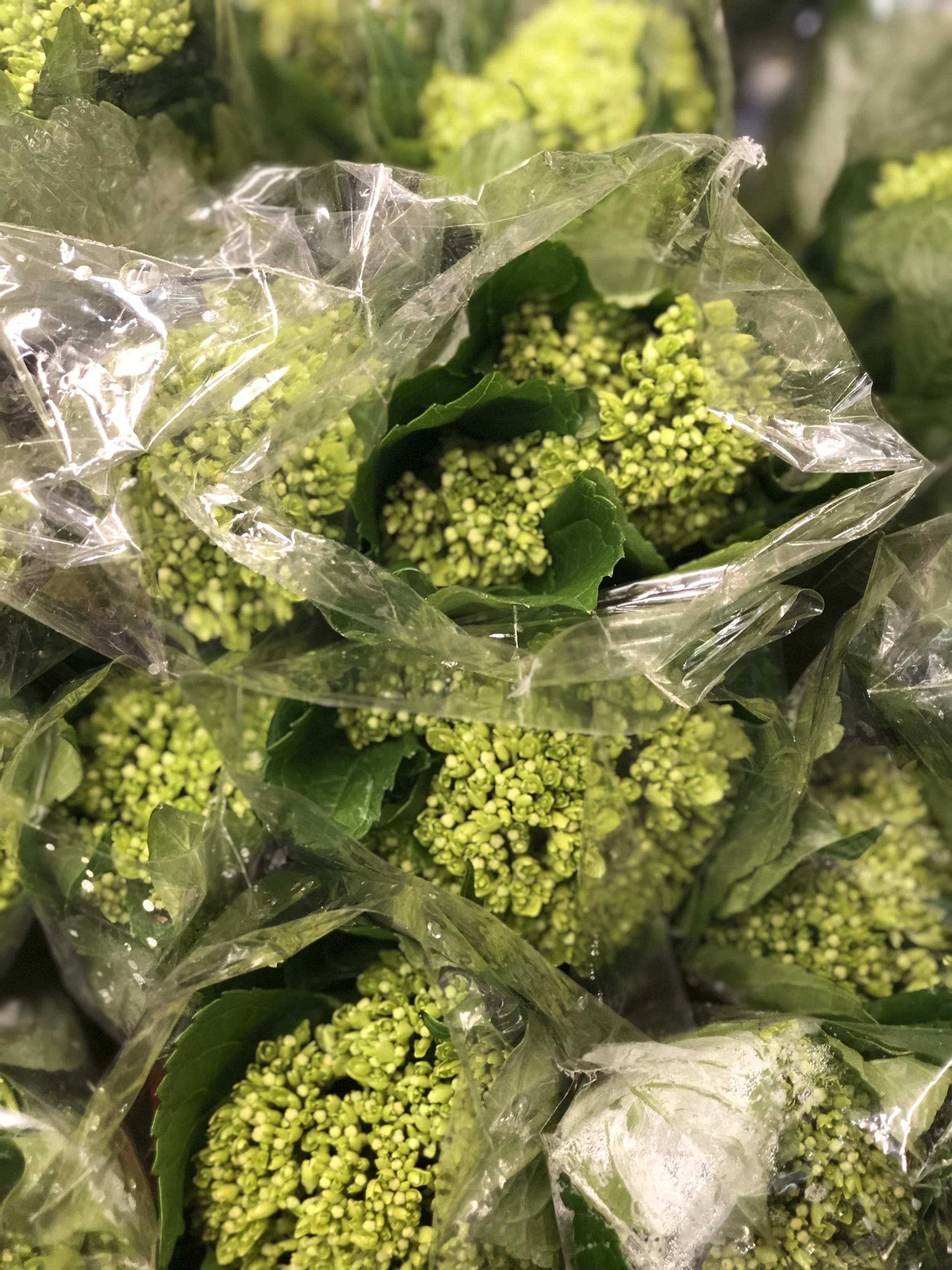 589611C2-7A21-4C84-BAAD-CD2600BFF4B1