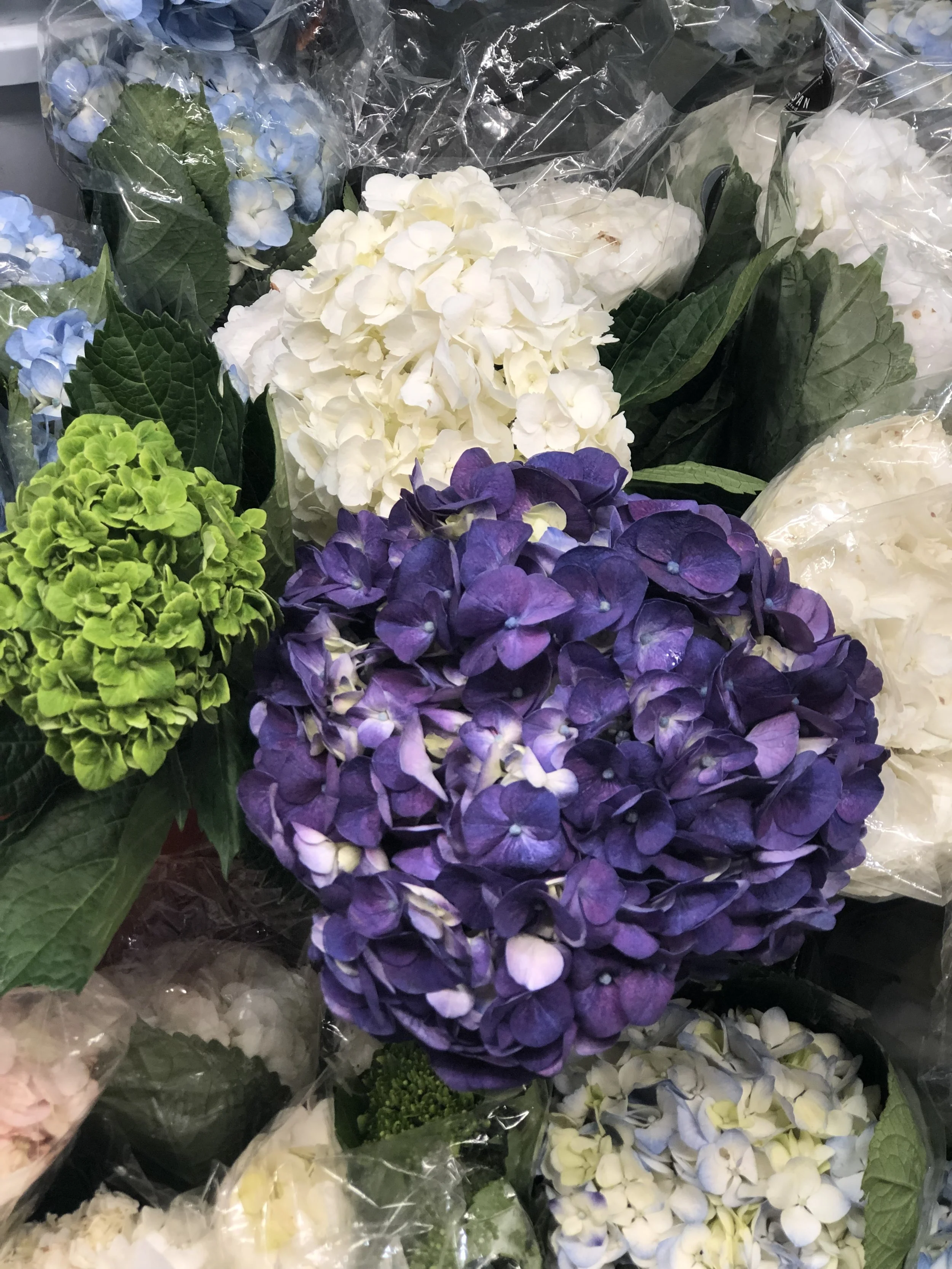 F3074720-244F-47AC-AA22-7EA41D45B8D3