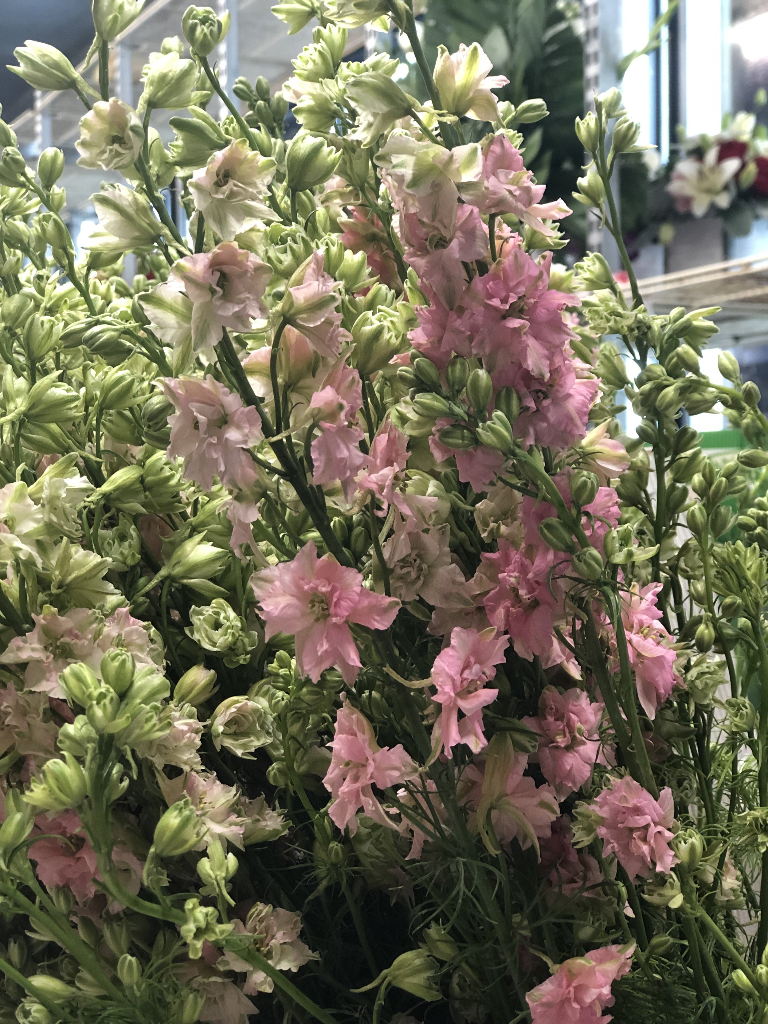 F9A827F1-8507-4F86-9EE2-3B196AAD4EE8