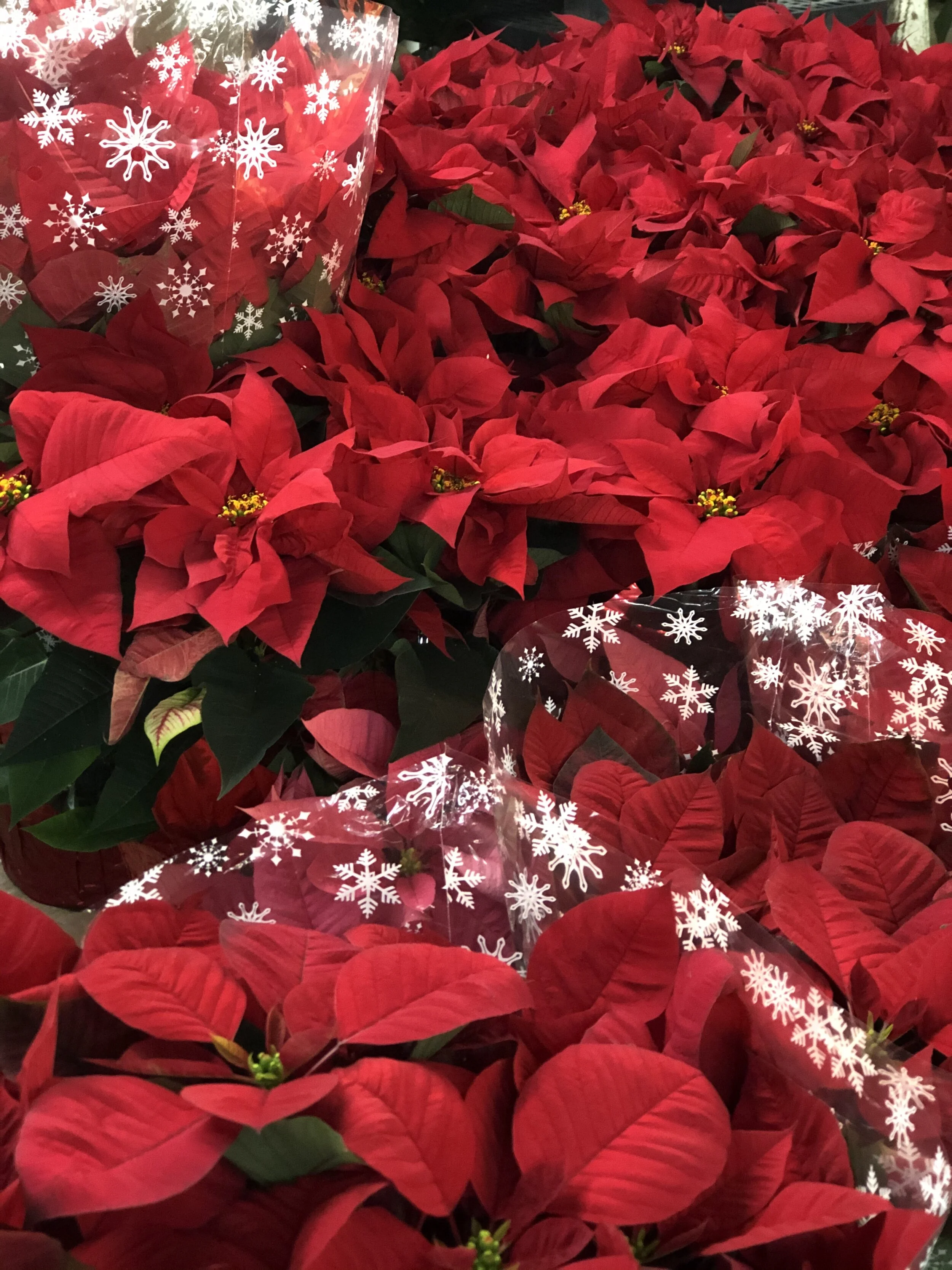 F92745EE-9B56-4E1D-949C-0E66FCDC7864