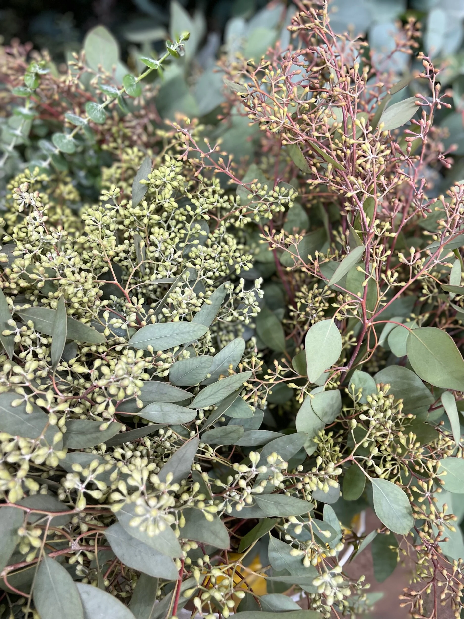 857425D4-141A-4791-9D4B-A8A972A85B59