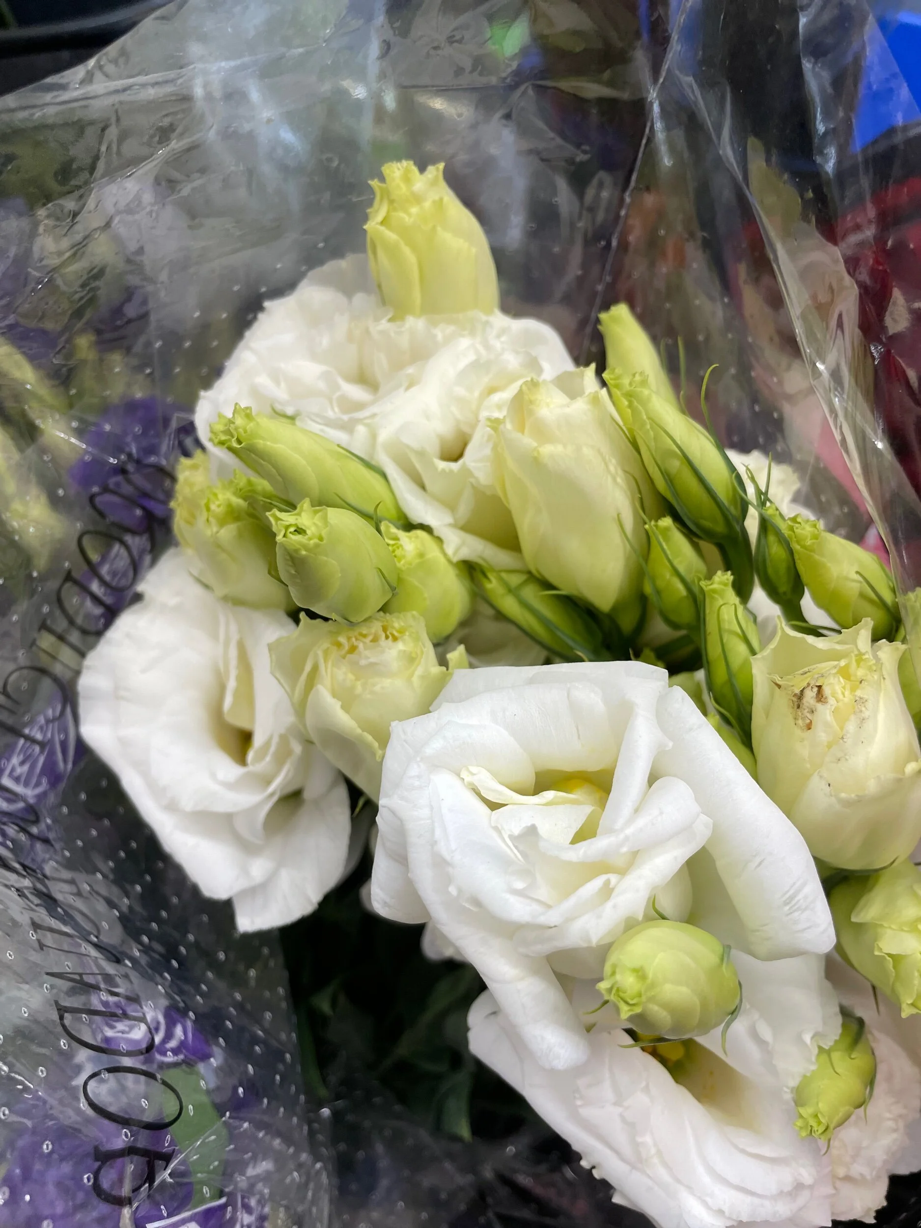 3A0C5282-C660-4CBE-AE4D-E198146DBD5B