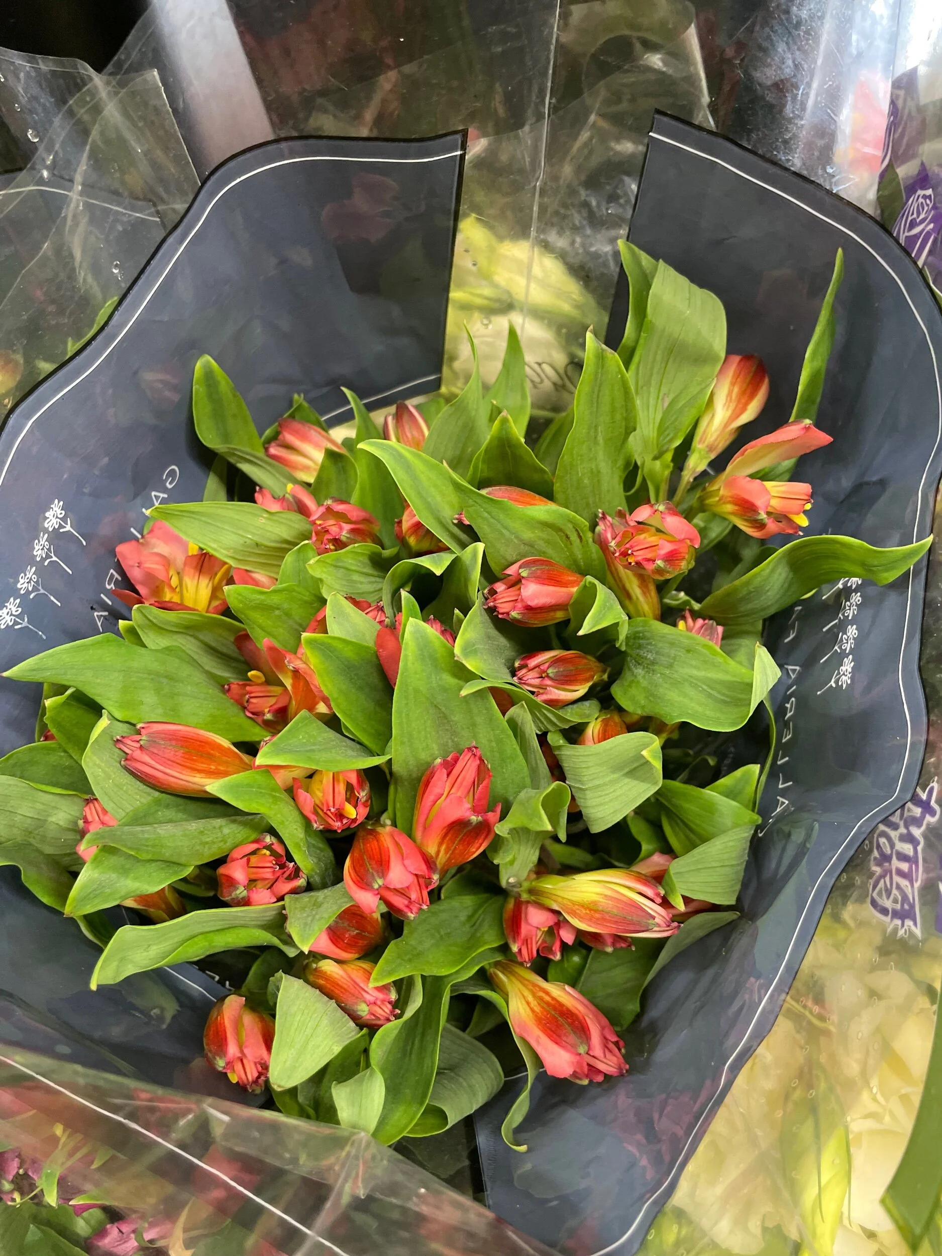 6050E7D0-EE22-4D2E-9289-D6AB5DB7409E