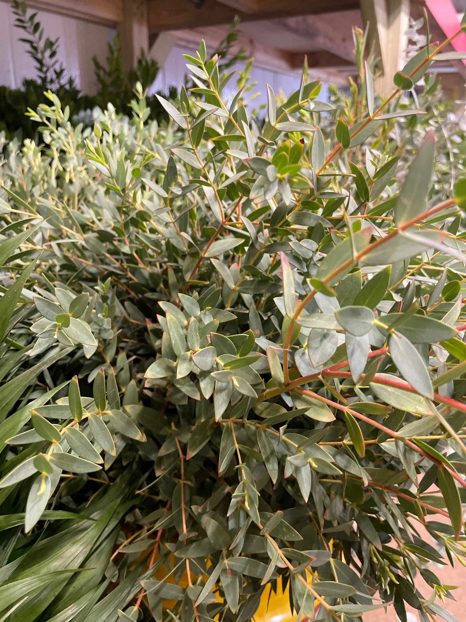 0E7DF95D-3C13-4455-A3D0-2FCC348B198D