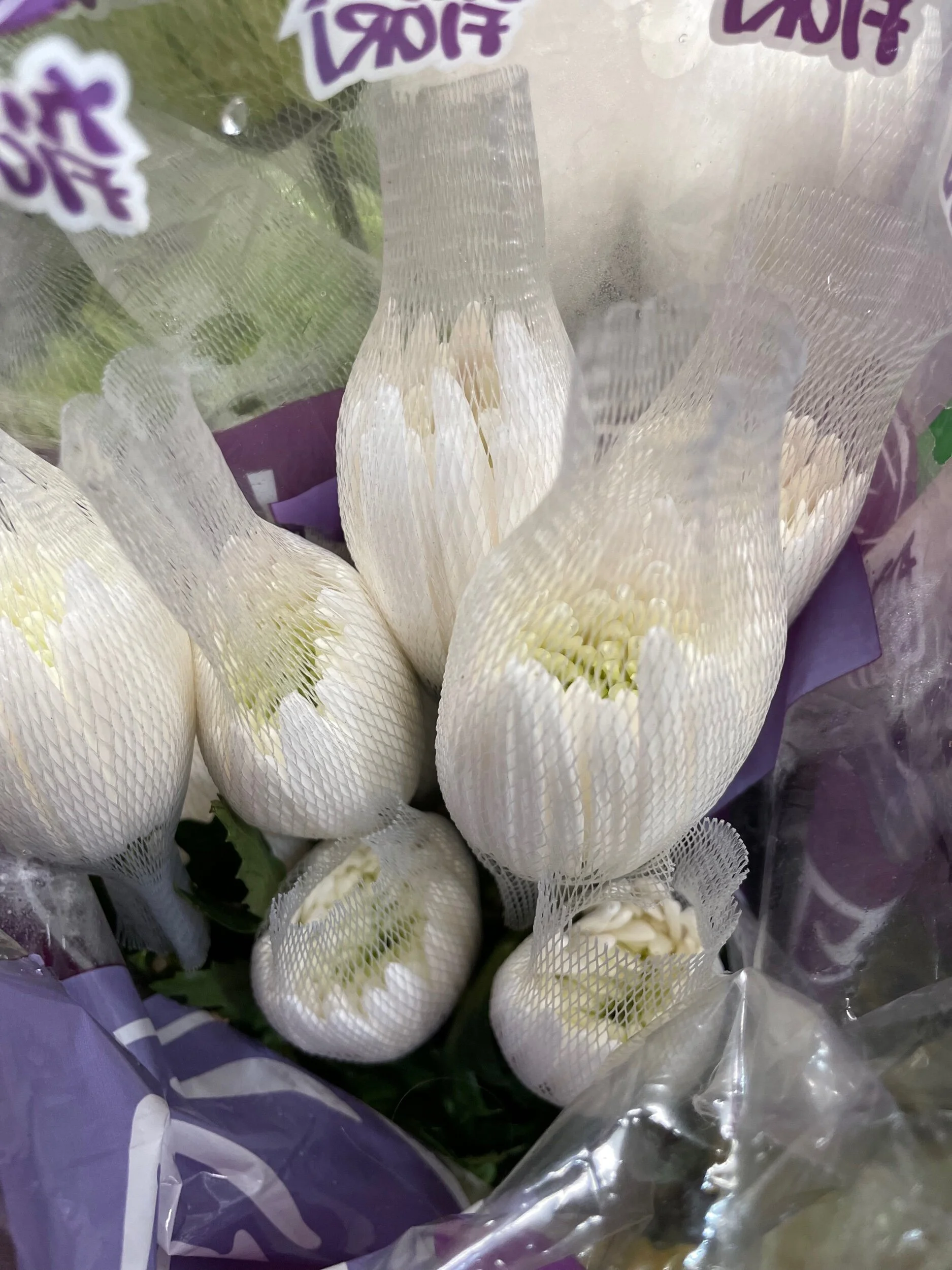 4119142A-9A6B-44D1-8CA1-49065F6F2C07