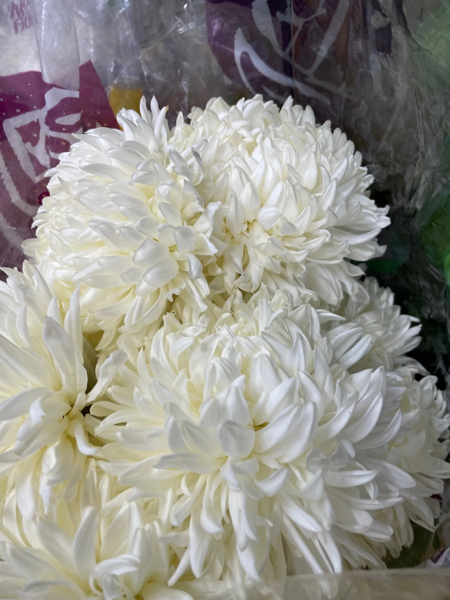 1FC97992-0C38-48E2-8576-E7807B5FA54A